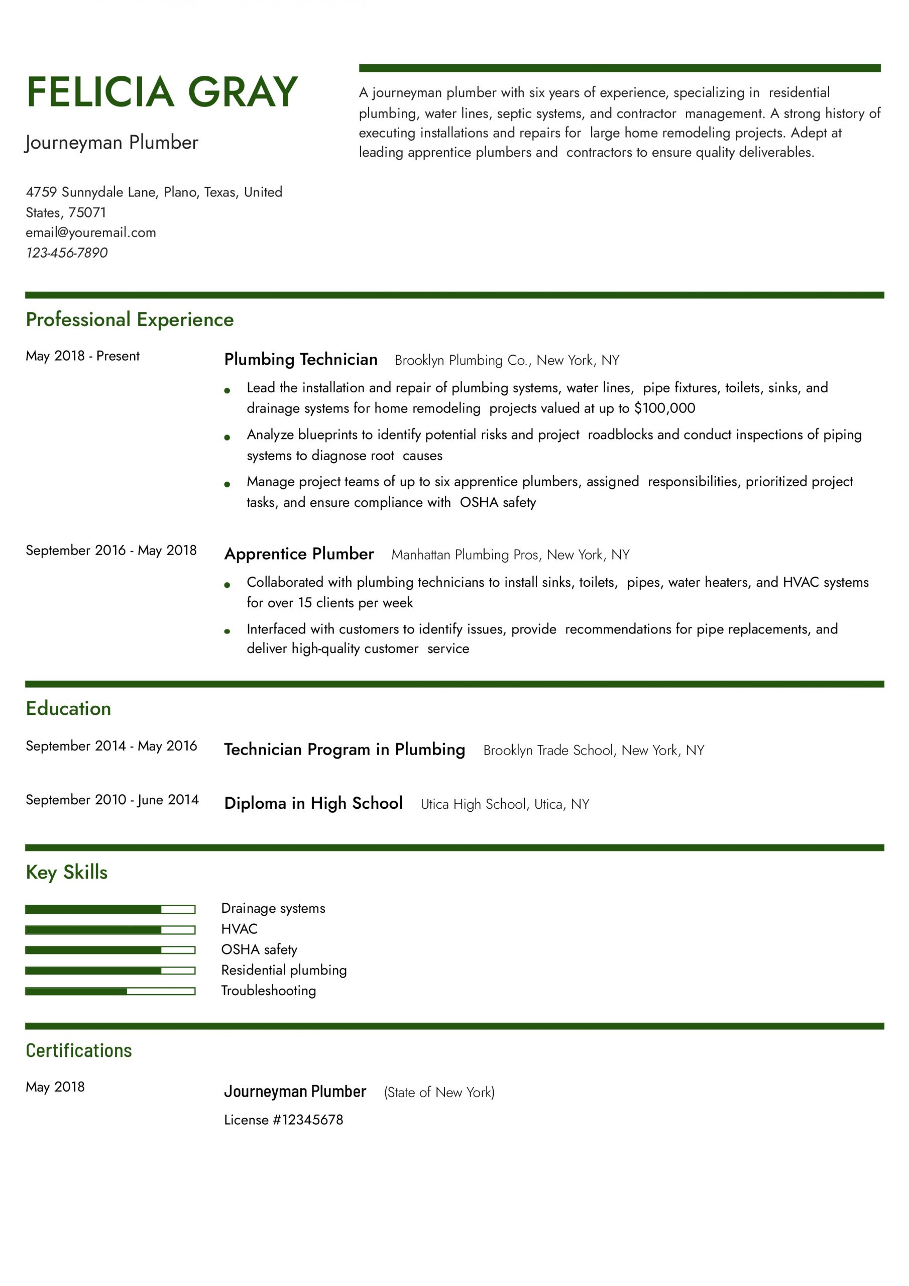 Plumber Resume Examples and Templates for 2024