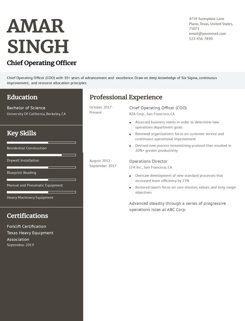 Chief Operating Officer Resume Examples and Templates for 2024