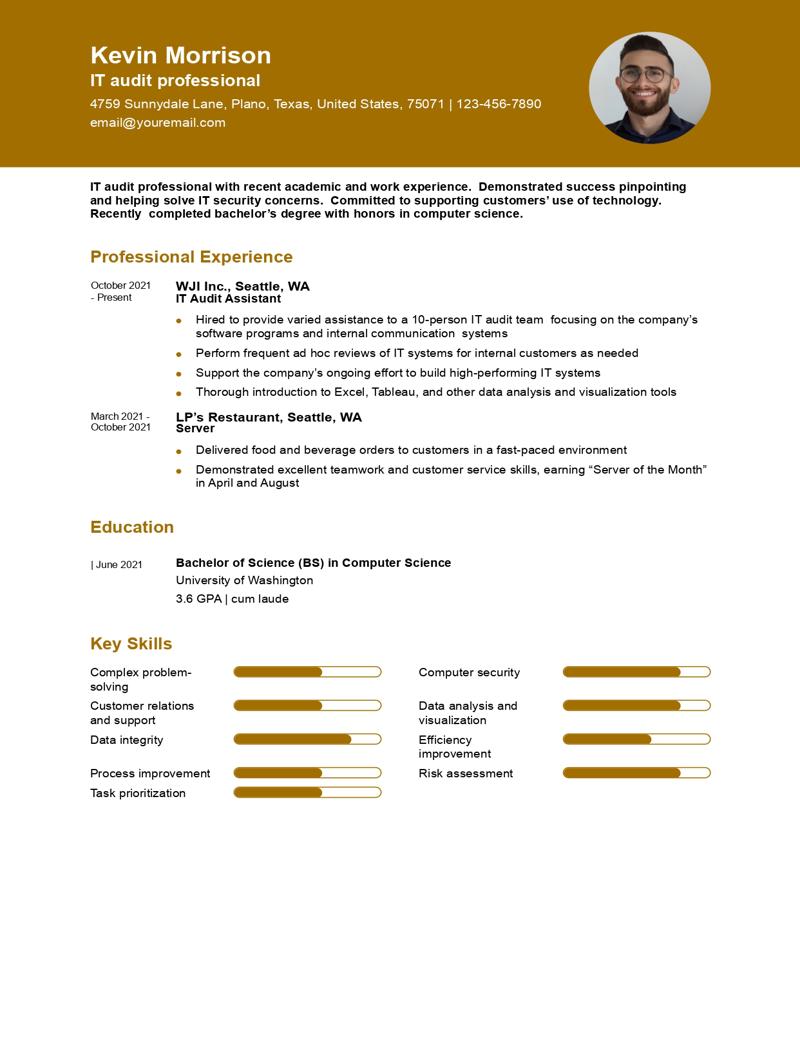 IT Auditor Resume Examples and Templates for 2024