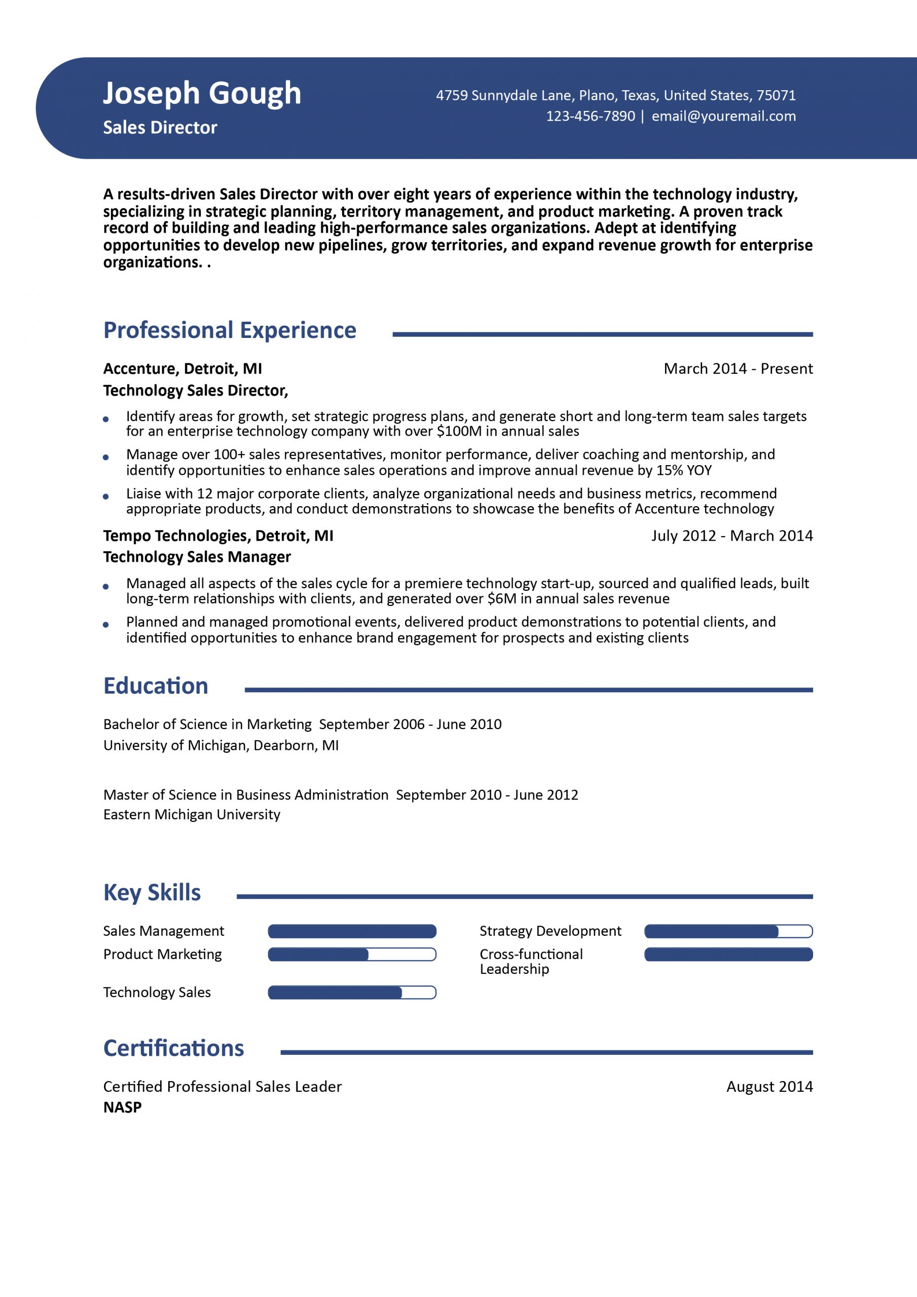 Sales Director Resume Examples and Templates for 2024