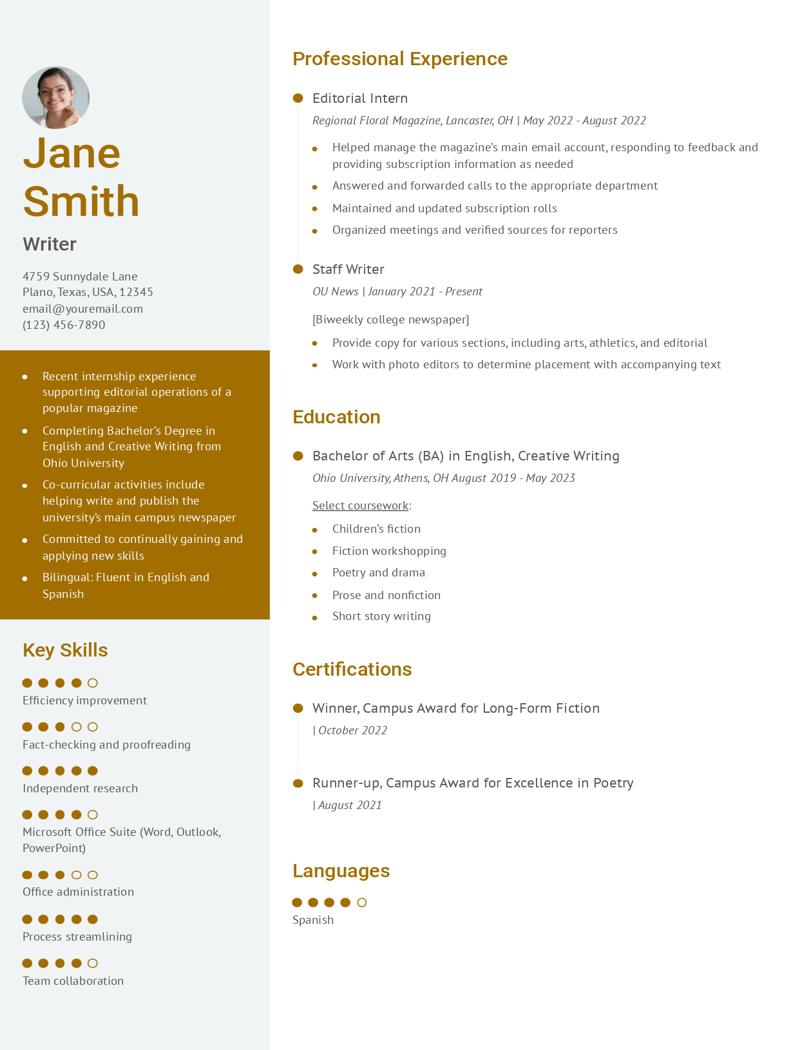 Professional Resume Examples and Templates for 2024