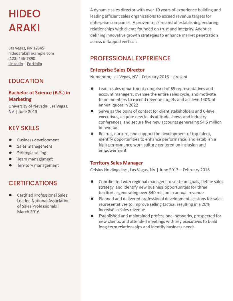 Resume Examples and Templates for Word for 2024