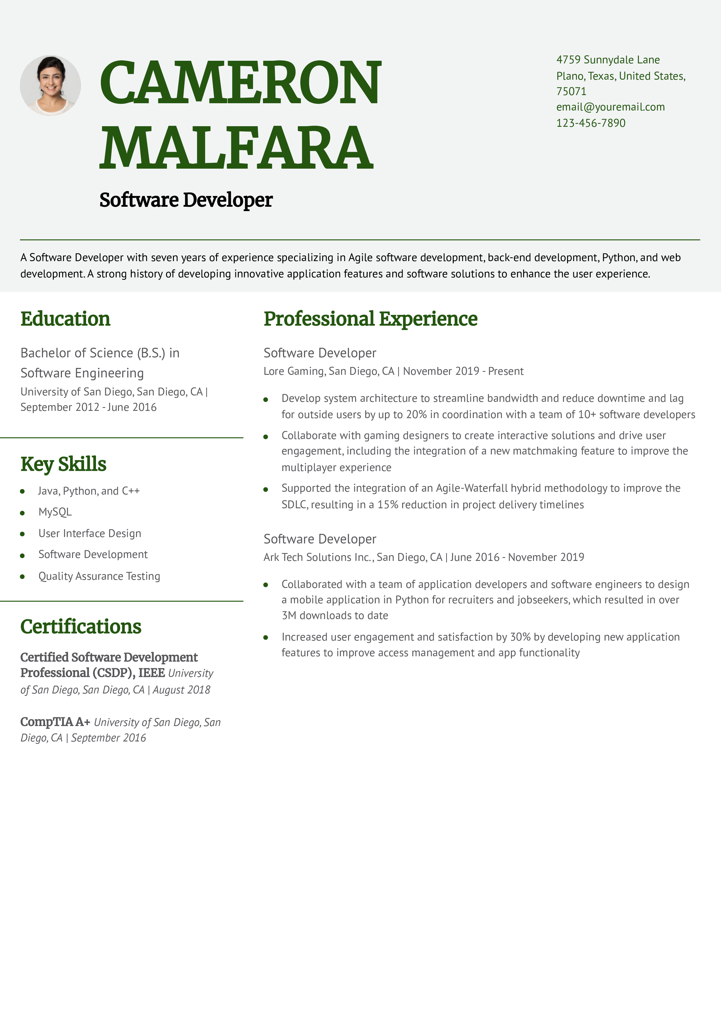 Software Developer Resume Examples and Templates for 2024 ...