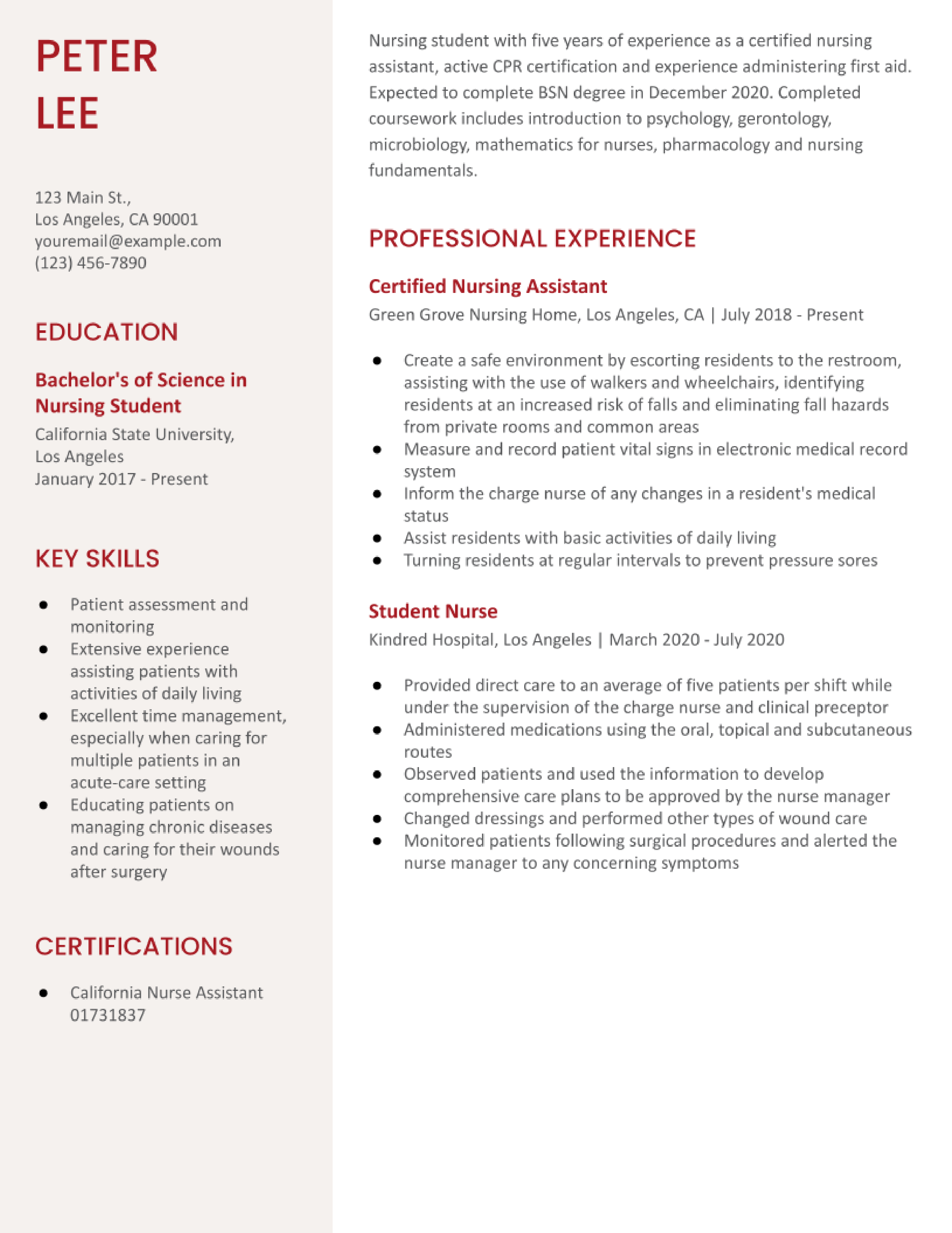 Nursing Student Resume Examples Of 22 Resumebuilder Com