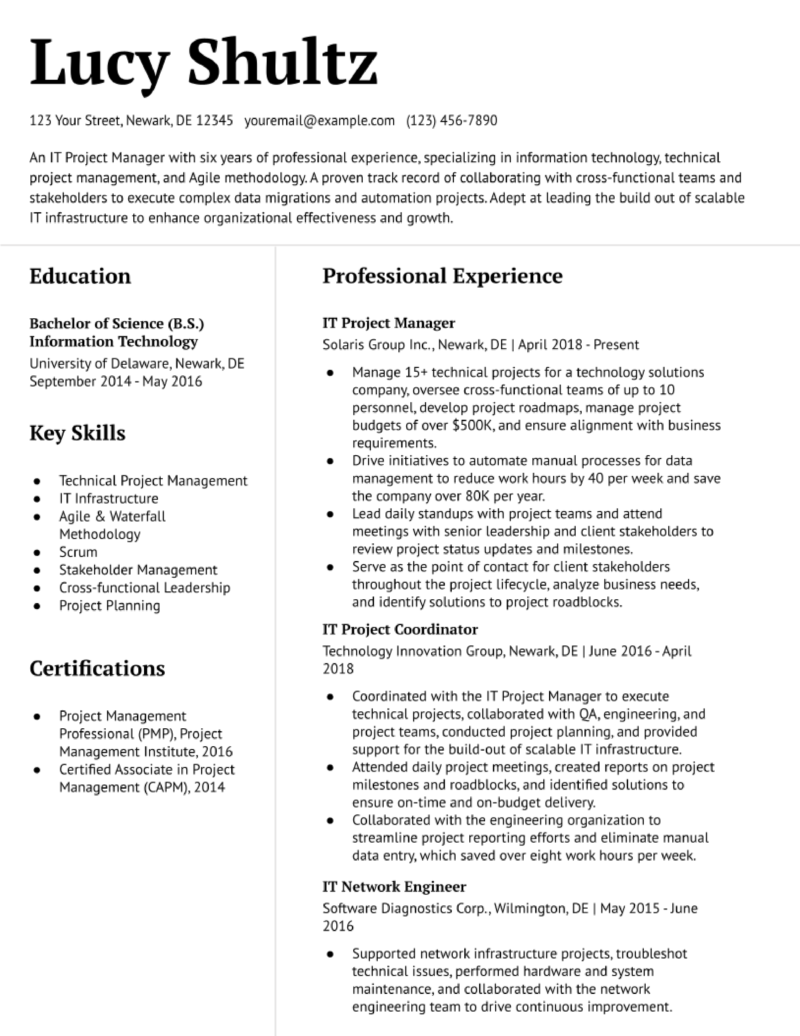 Information Technology Project Manager Resume Examples And Templates