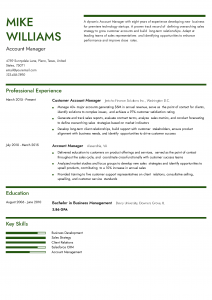 Account Manager Resume Example