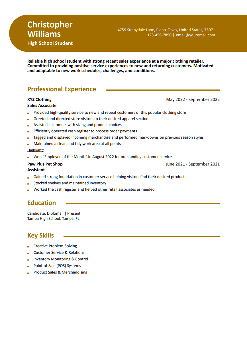 High School Student - Entry-Level Image