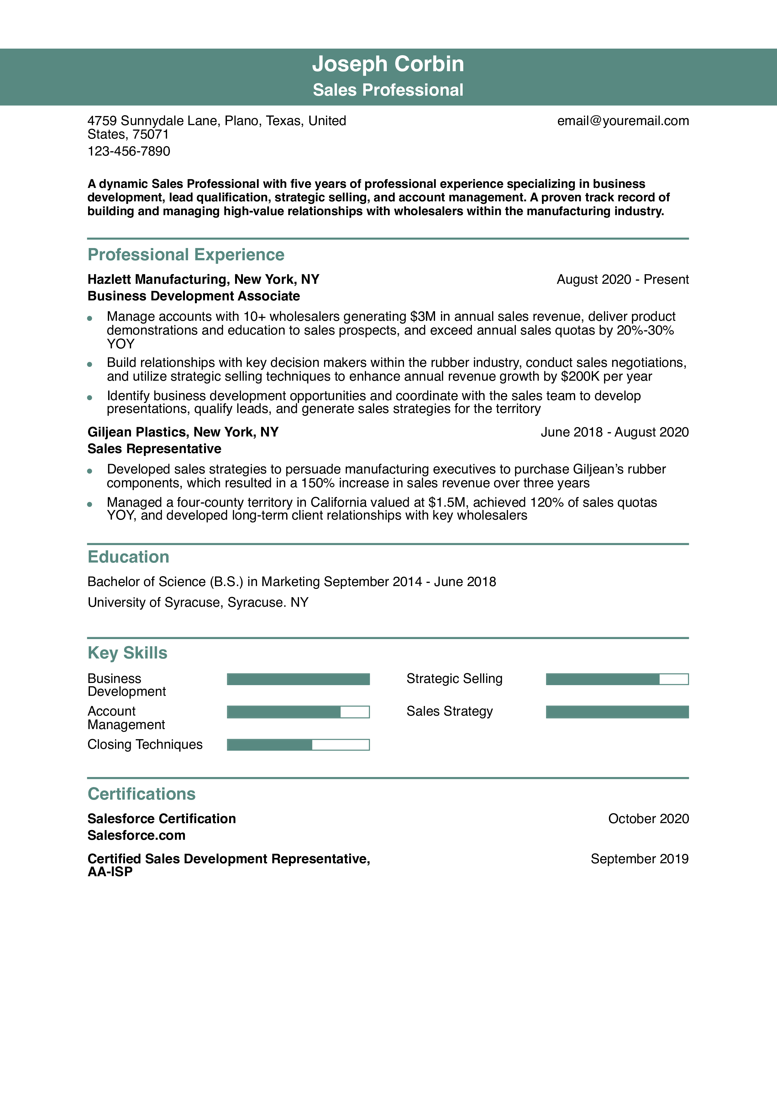Sales Professional Resume Example