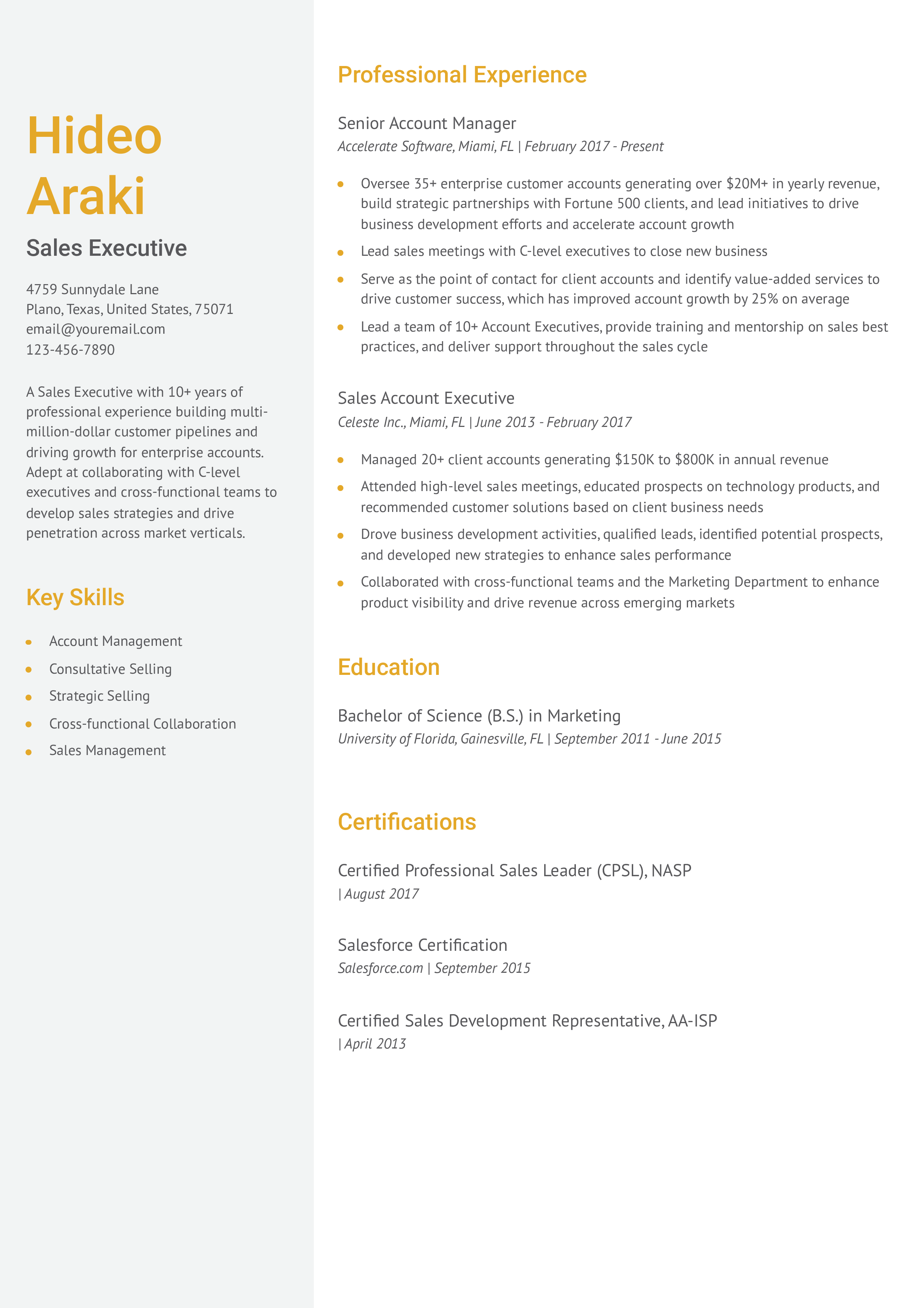Sales Executive Resume Example