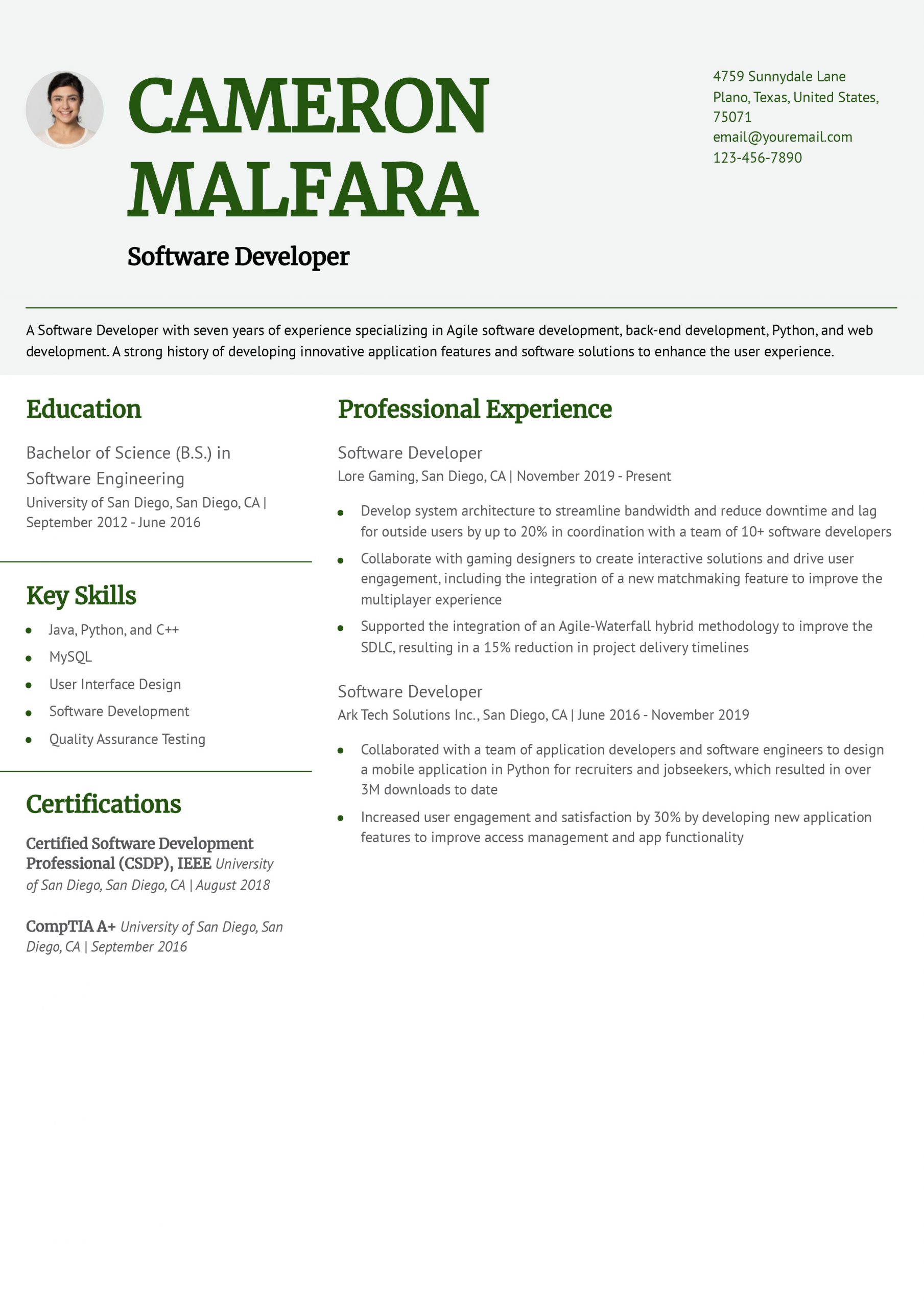 Software Developer Resume Examples and Templates for 2024