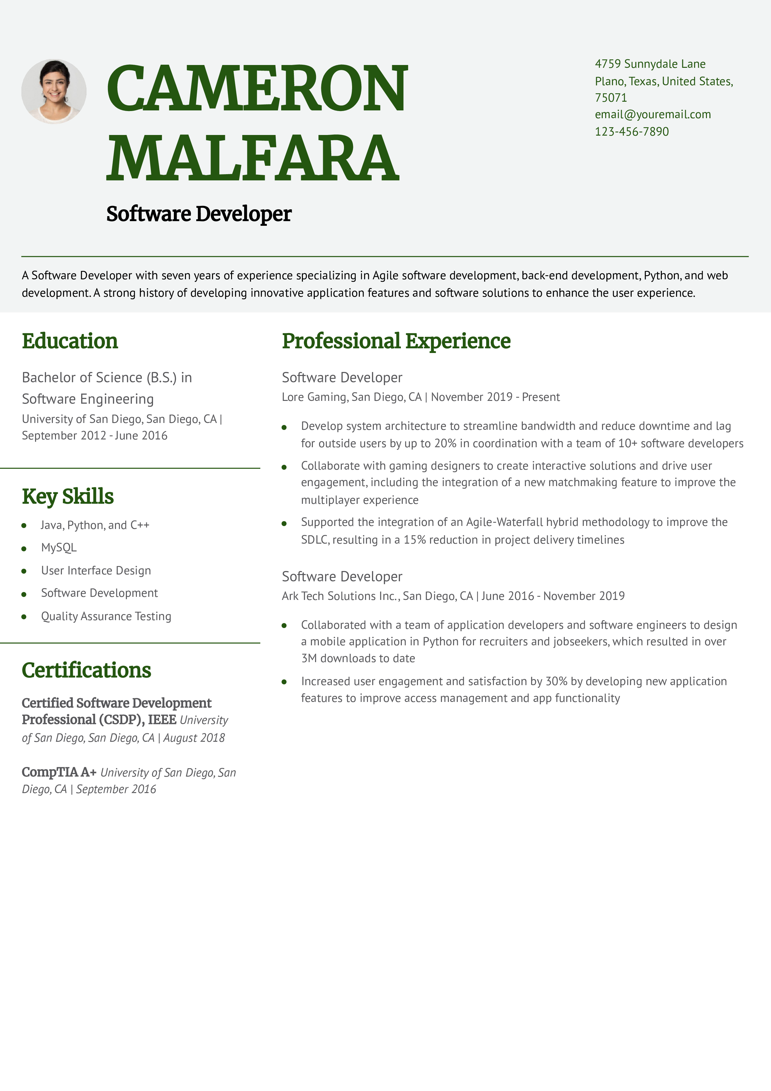 Software Developer Mid Level