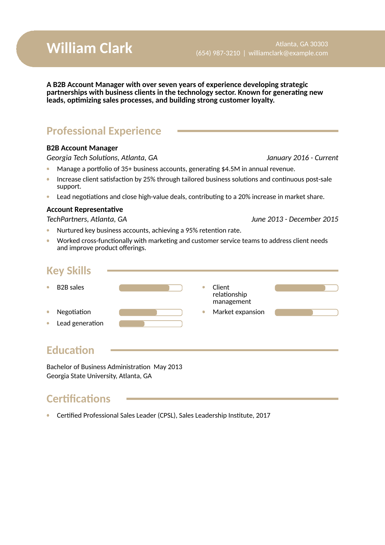 B2B Account Manager Resume Example