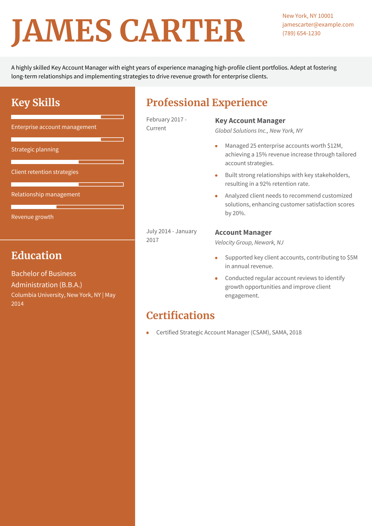Key Account Manager Resume Example