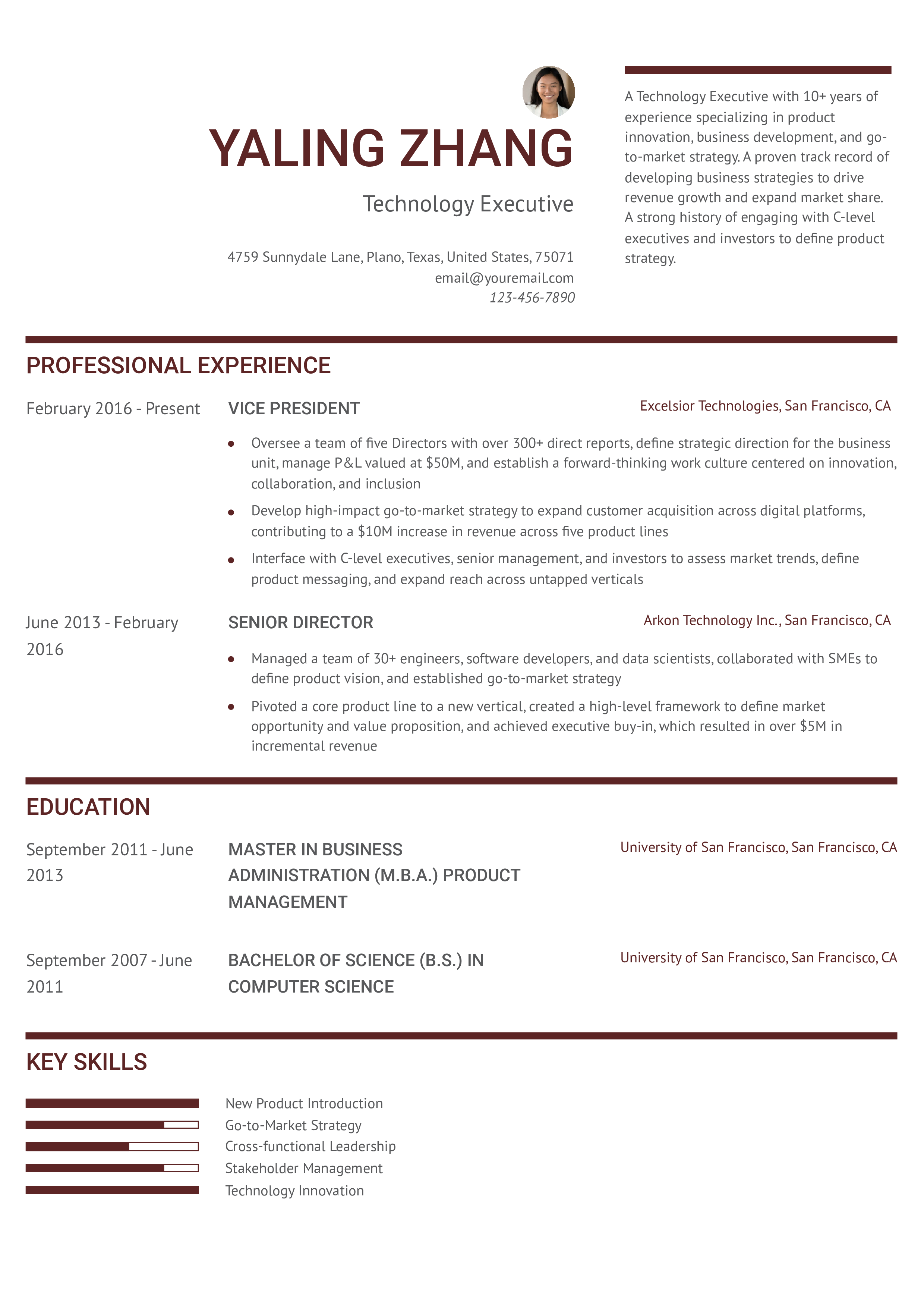 Technology Executive Resume Example