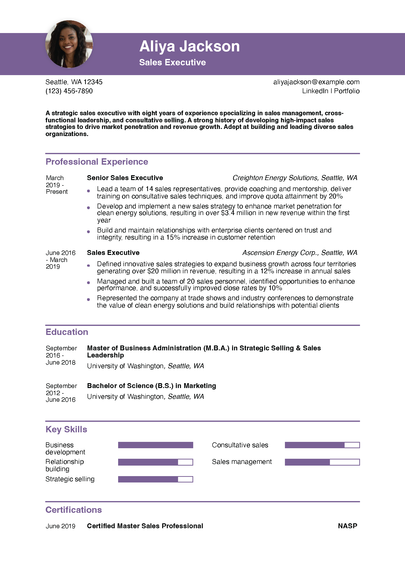 Sales Executive Resume Example