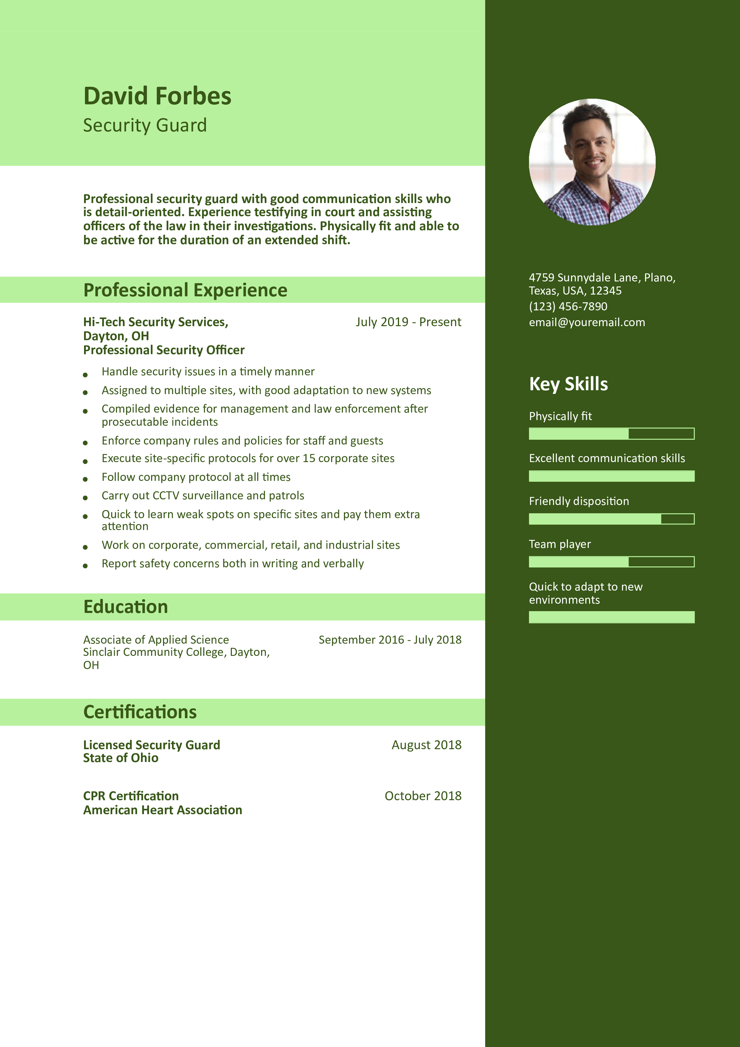 Professional Security Officer Resume Example