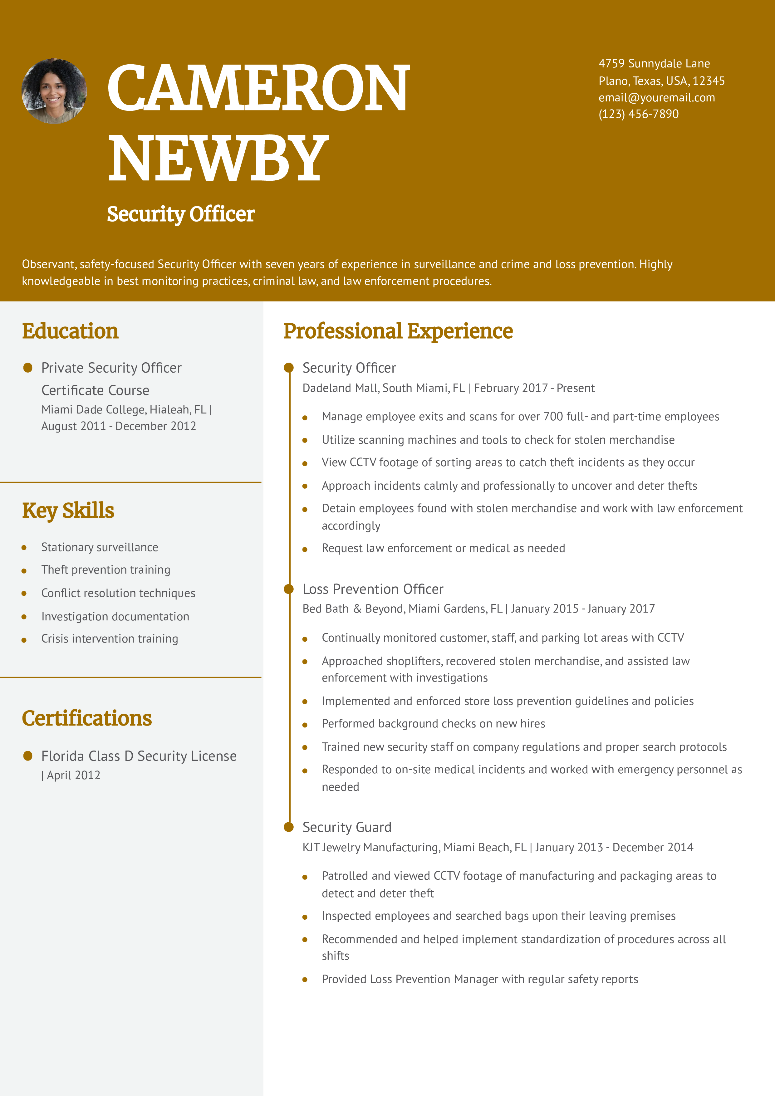 Security Officer Resume Example