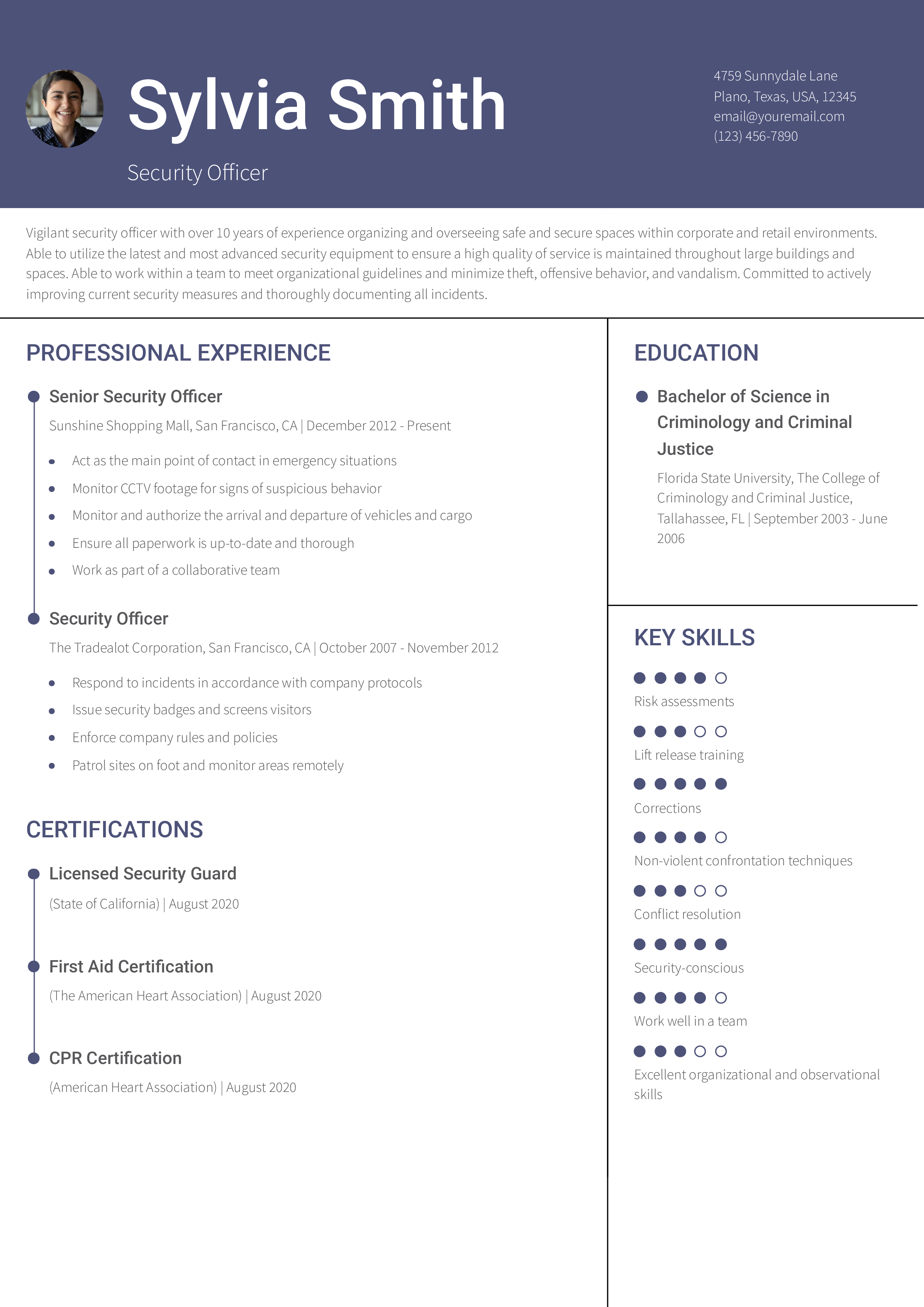 Senior Security Officer Resume Example