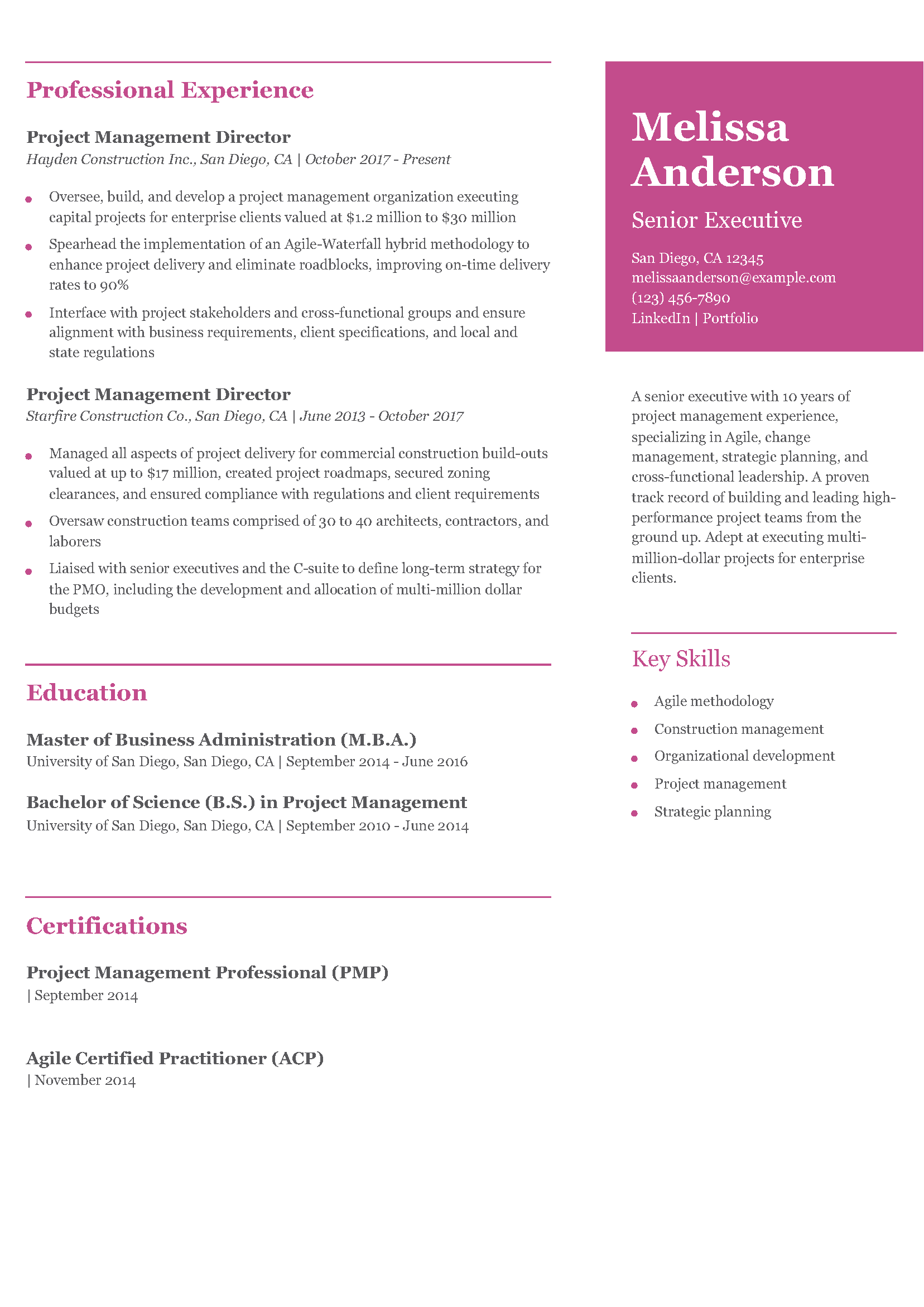 Senior Executive Resume Example