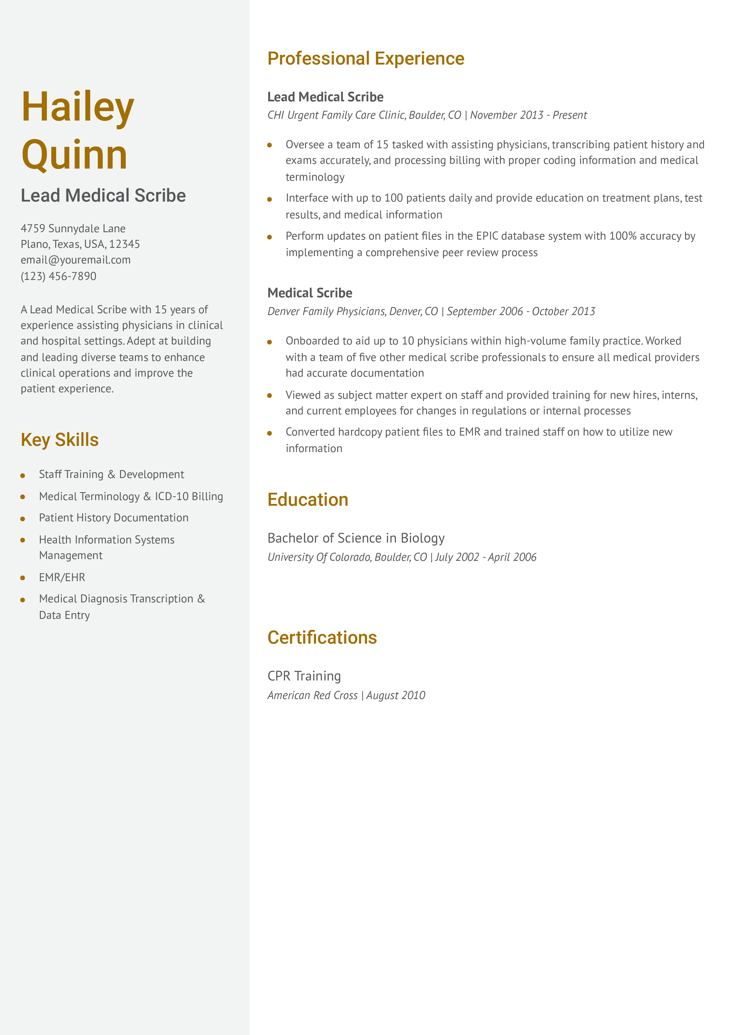 Senior-Level Resume