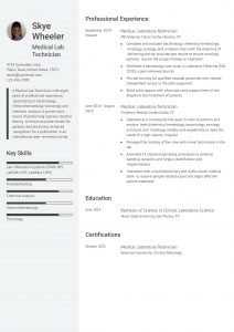 Lab Technician Resume Example