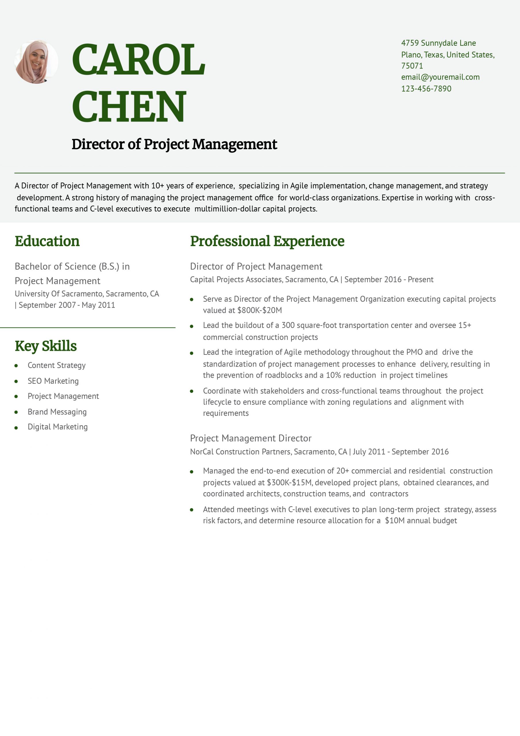 Director Resume Examples and Templates for 2025
