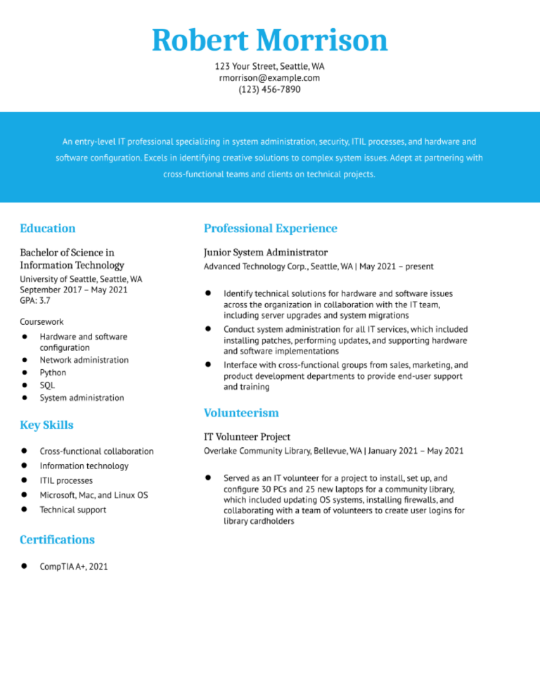 Resume Examples 2024 Information Technology Resume Examples Penni
