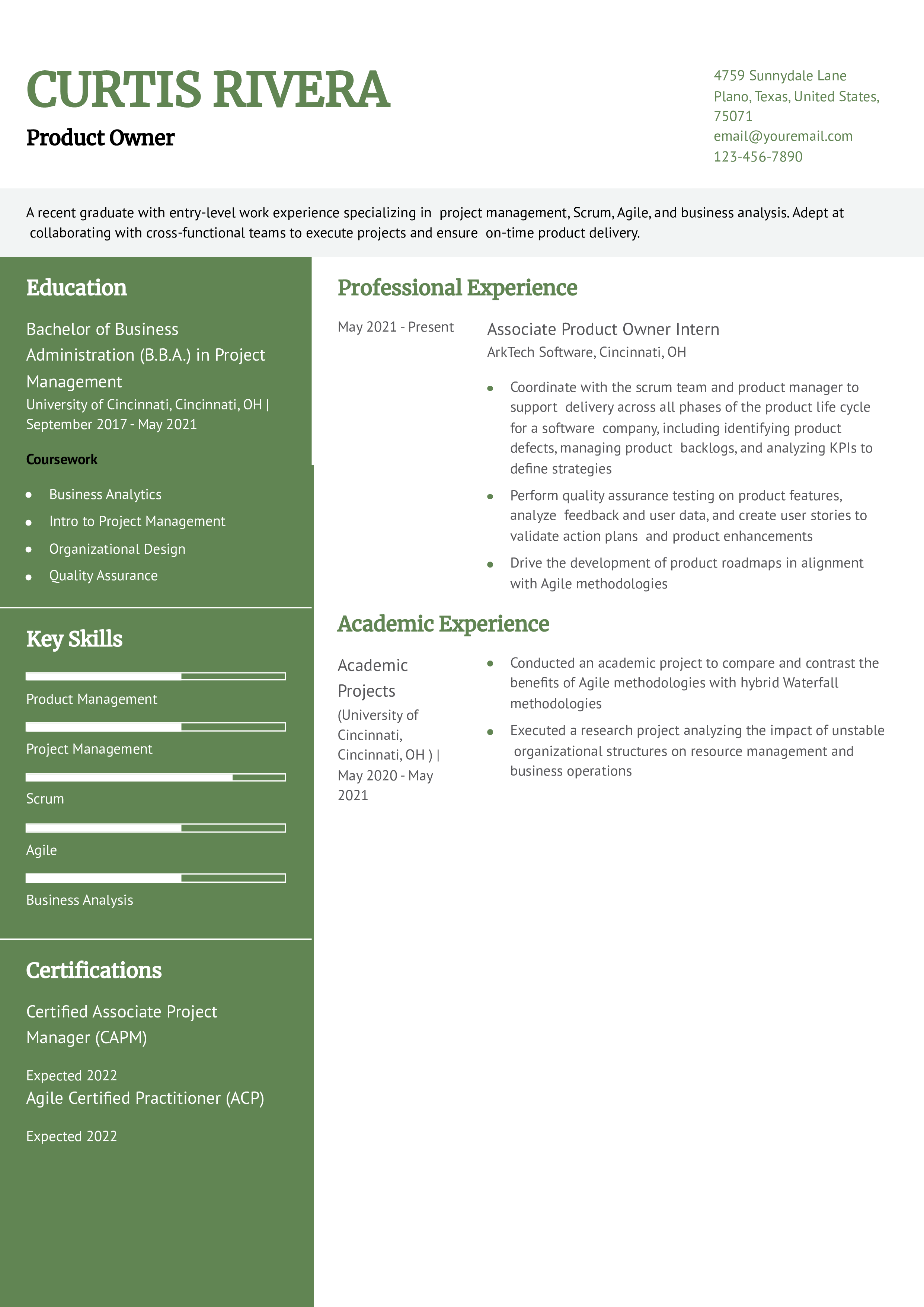 Product Owner Resume Example