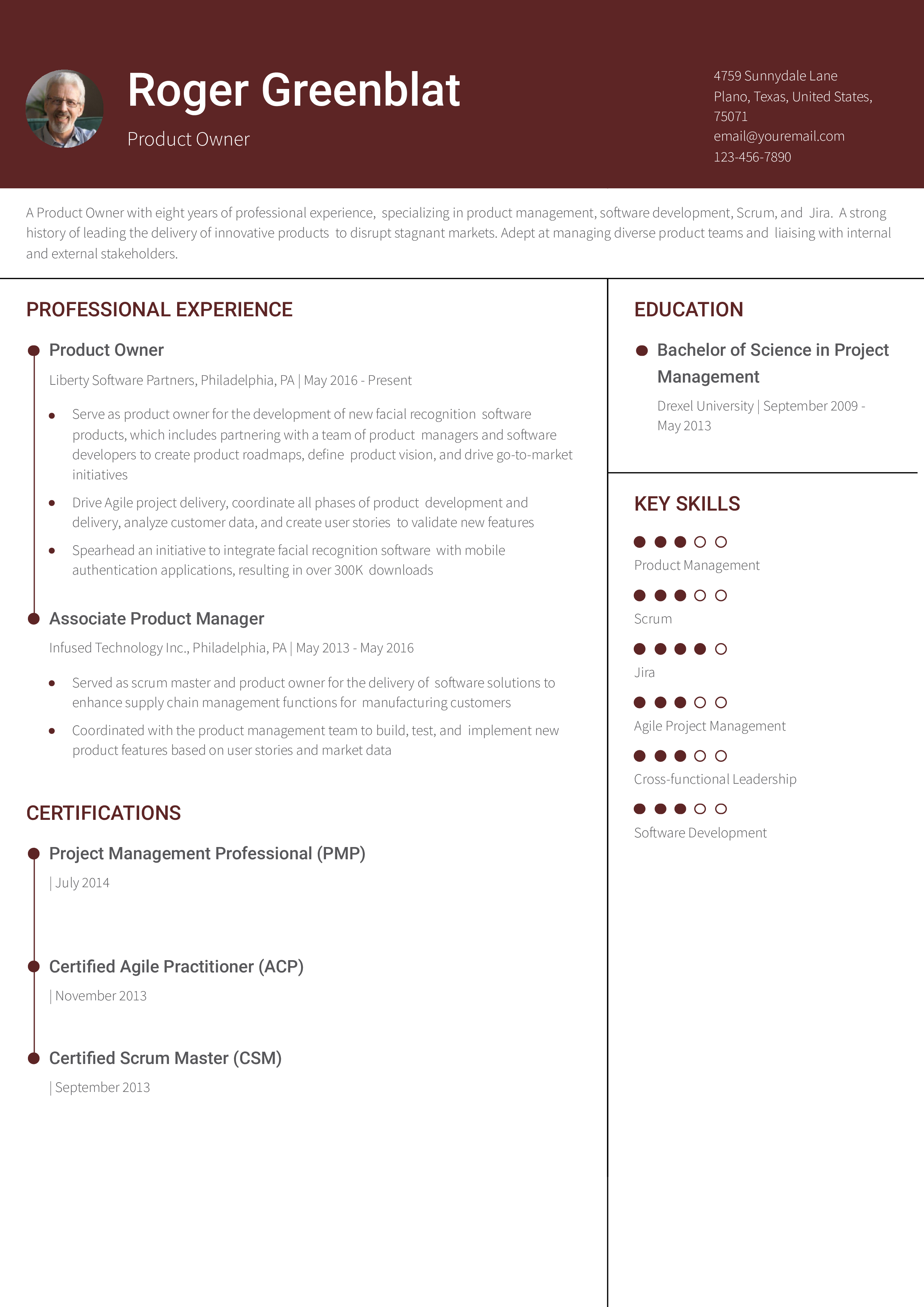 Experienced Product Owner Resume Example