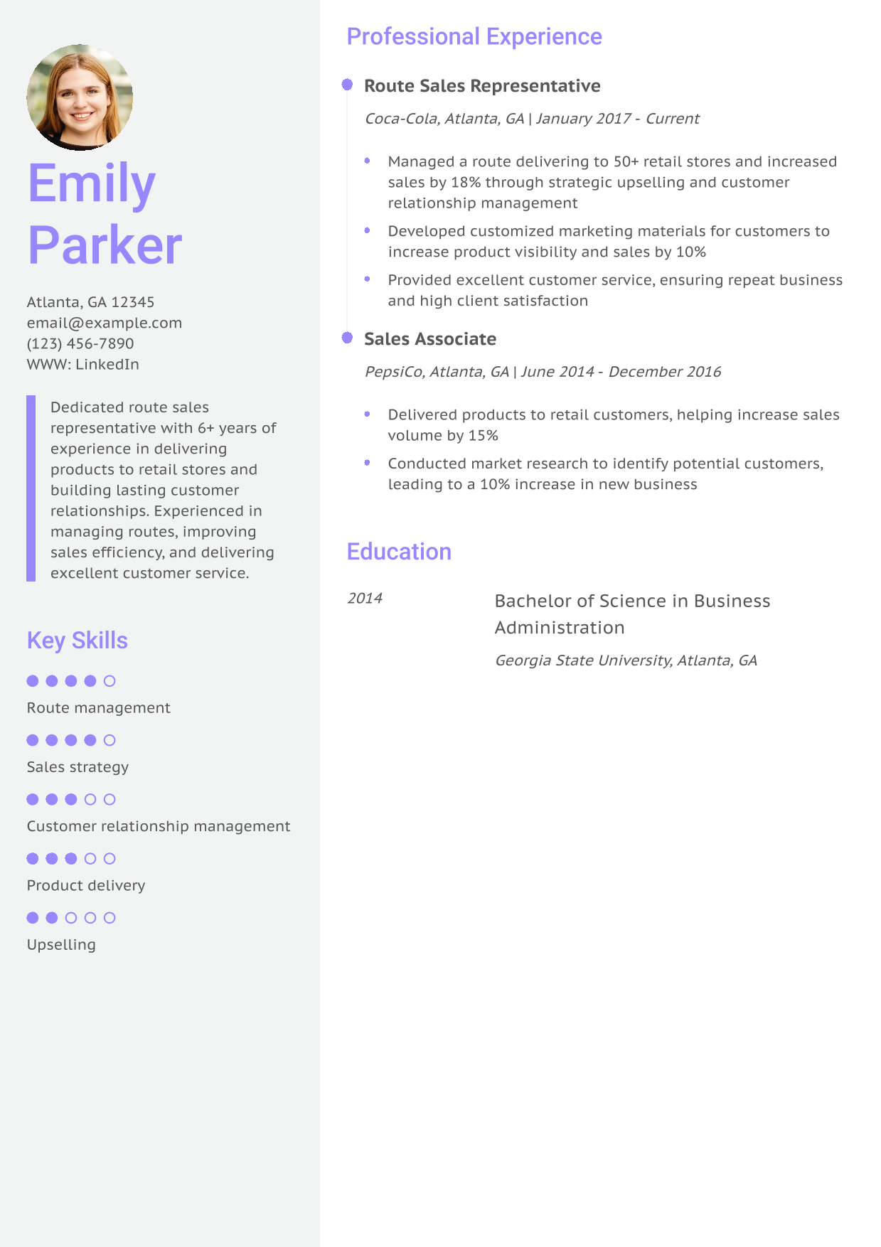 Route Sales Representative Resume Example 2