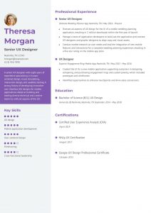 Senior UX Designer Resume Example