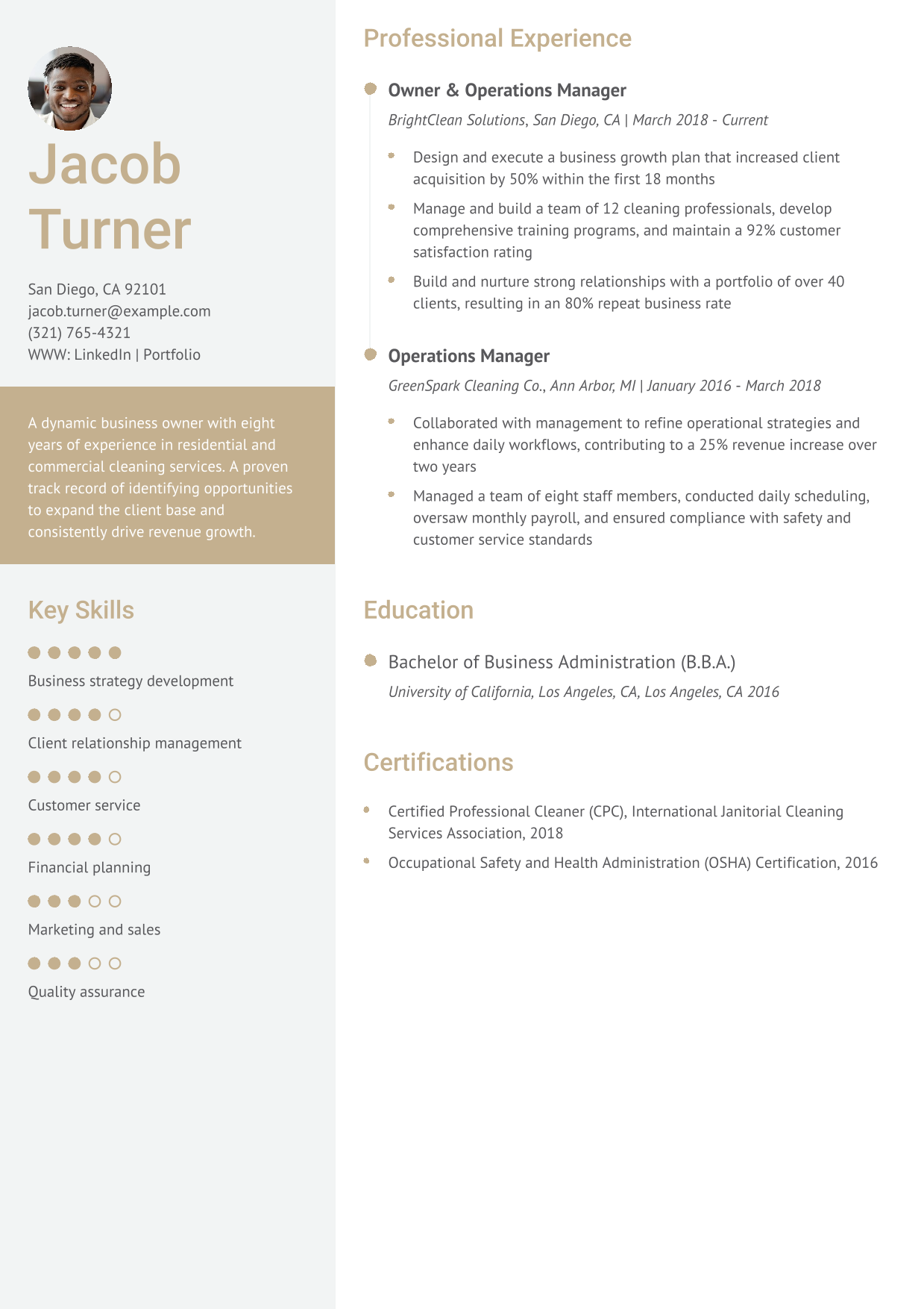 Cleaning Business Owner Resume Example