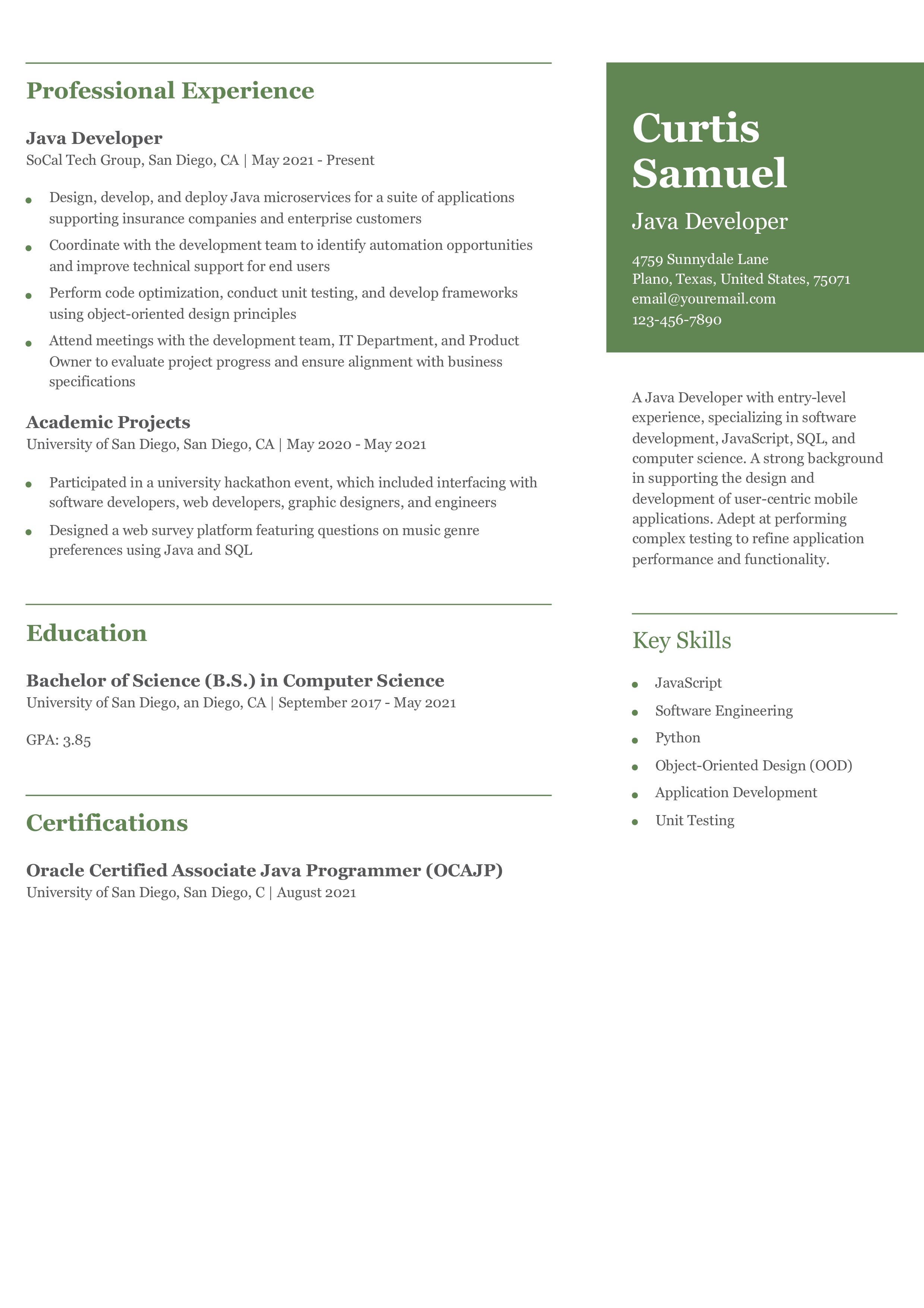 Java Developer Resume Example