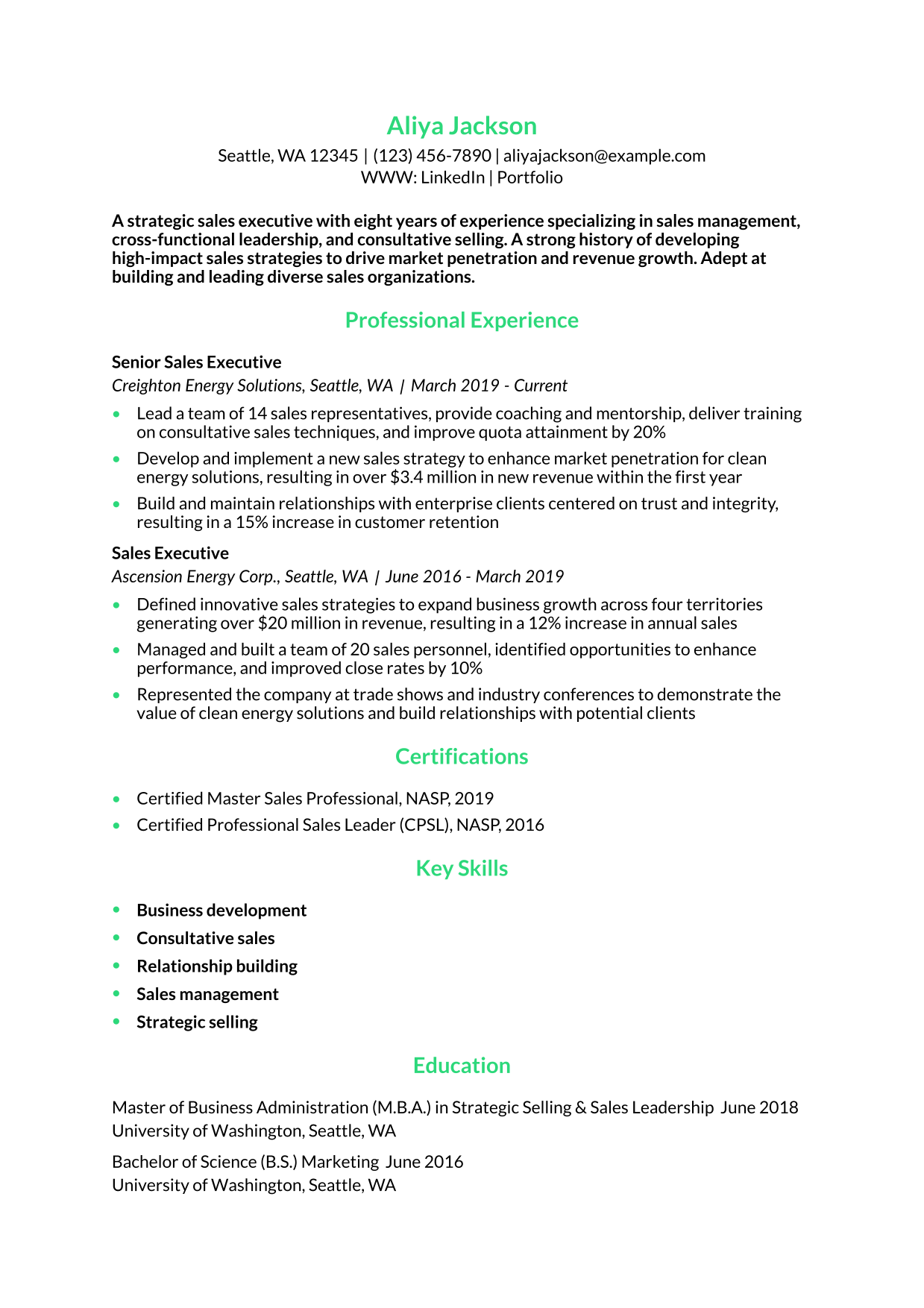 Sales Executive Resume Example