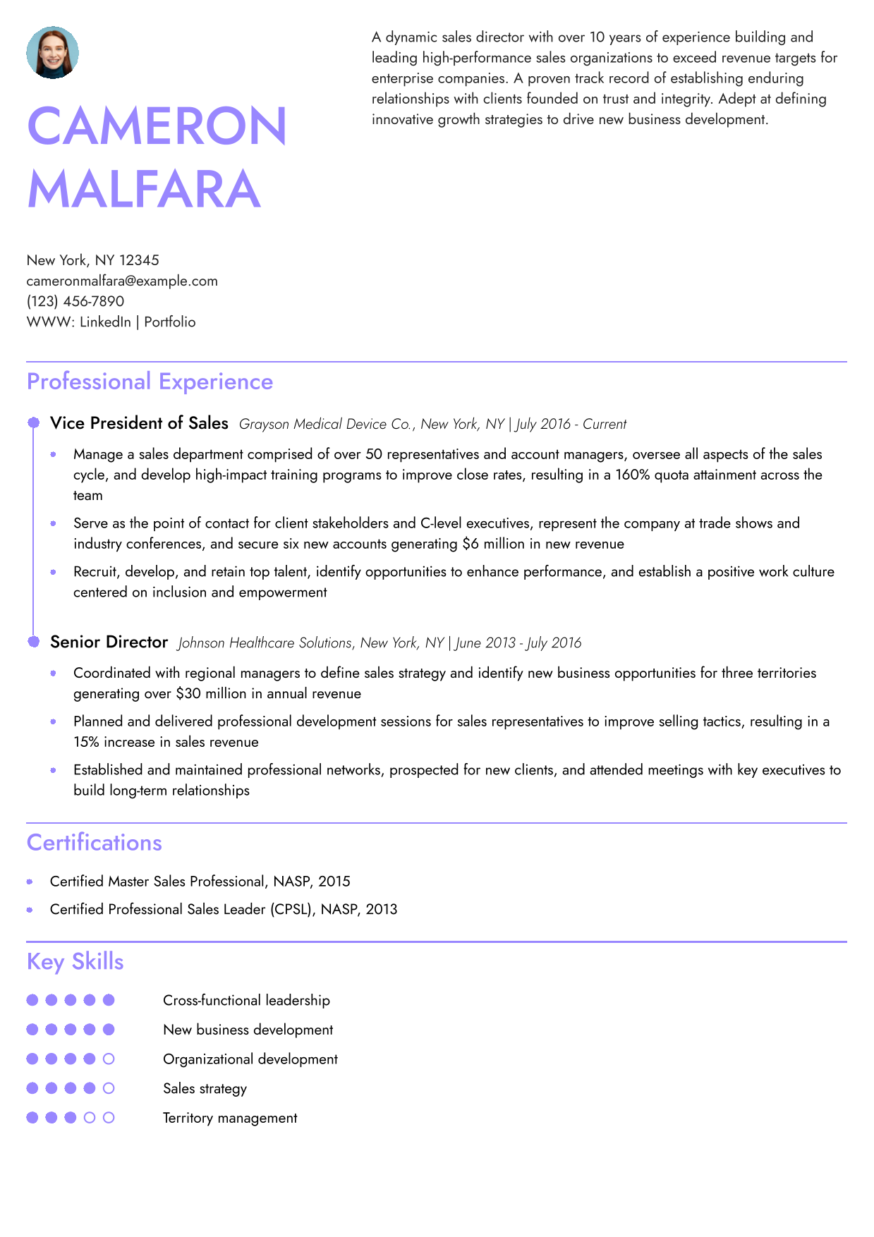 Vice President of Sales Resume Example