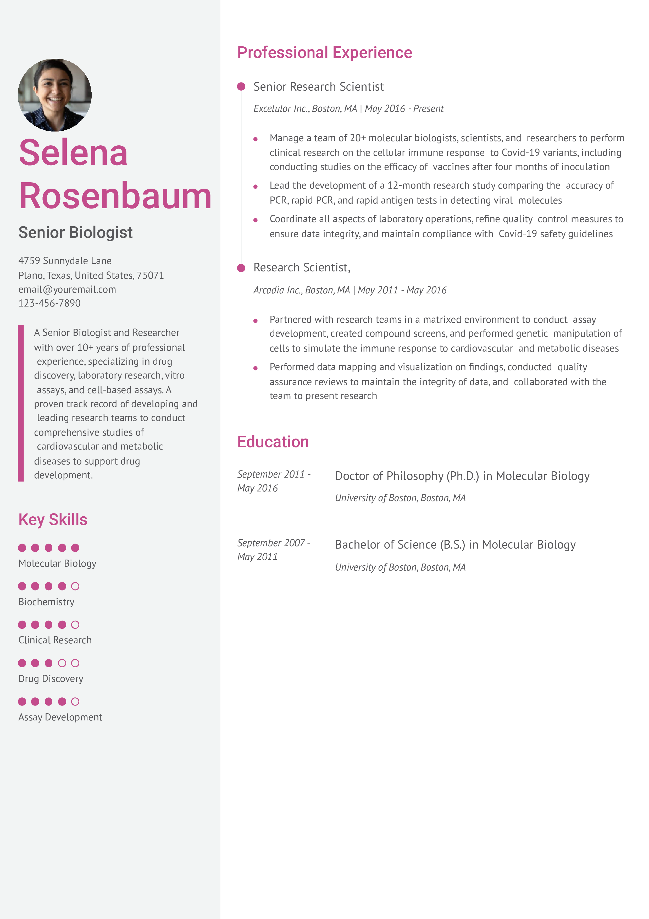 Senior-level Resume