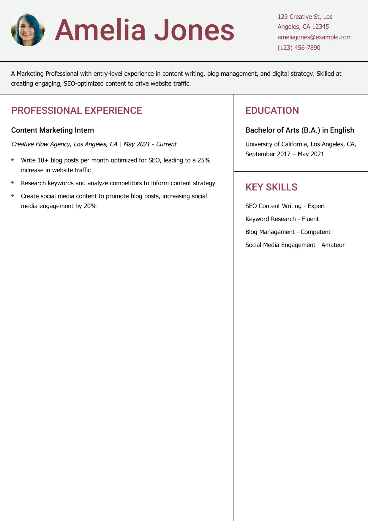 Content Marketing Intern Resume Example