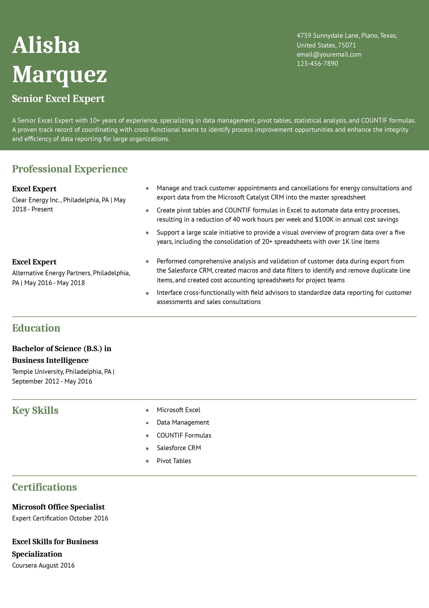 Excel Expert Resume Examples and Templates for 2025