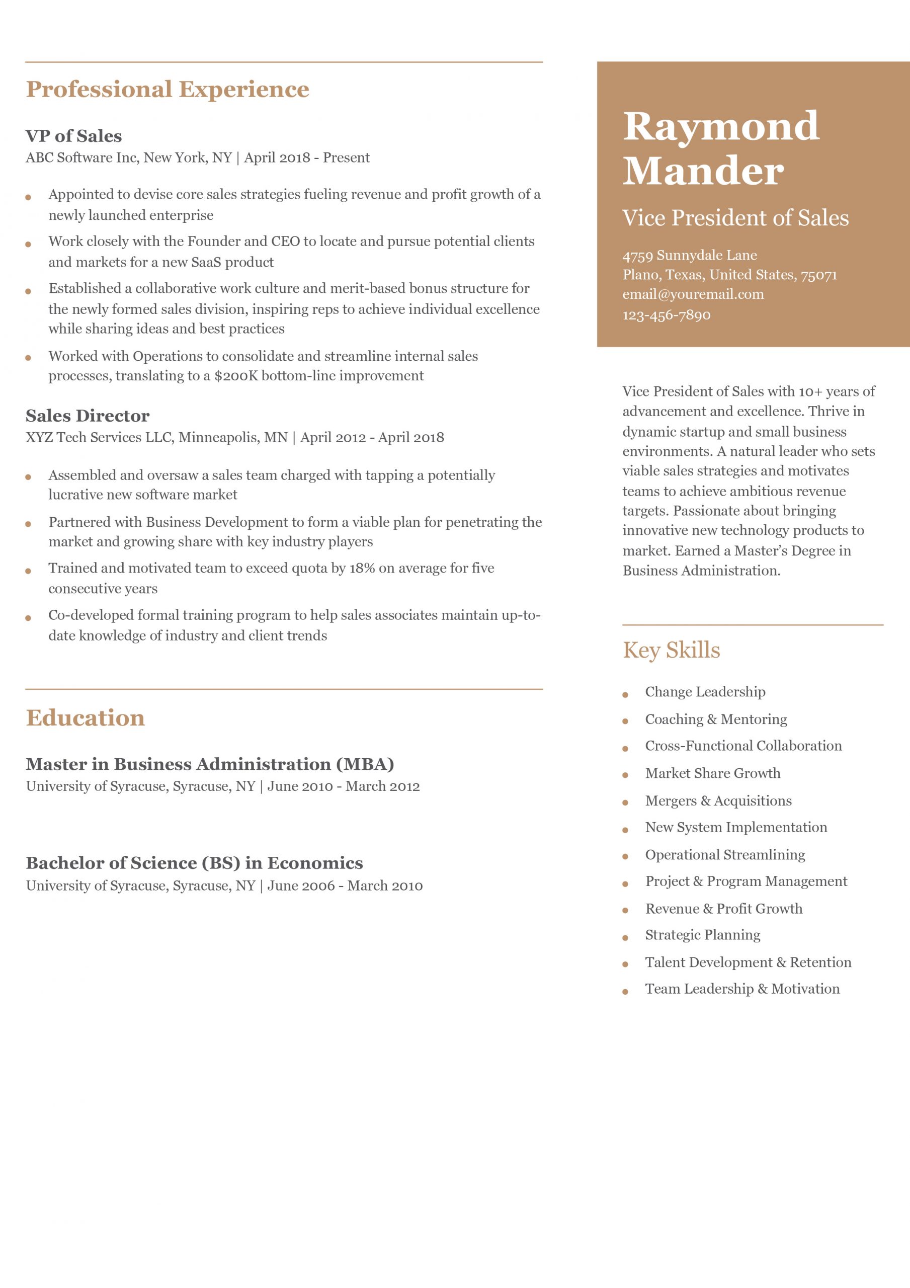 VP of Sales Resume Examples and Templates for 2025