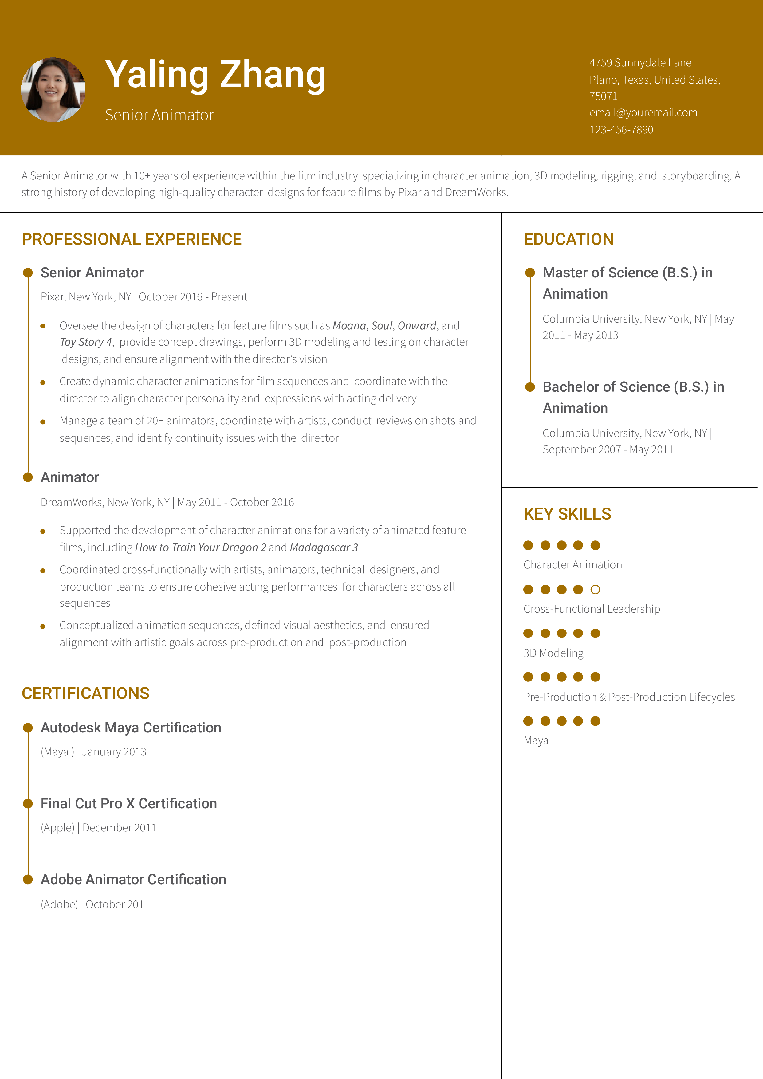 Senior-level Resume