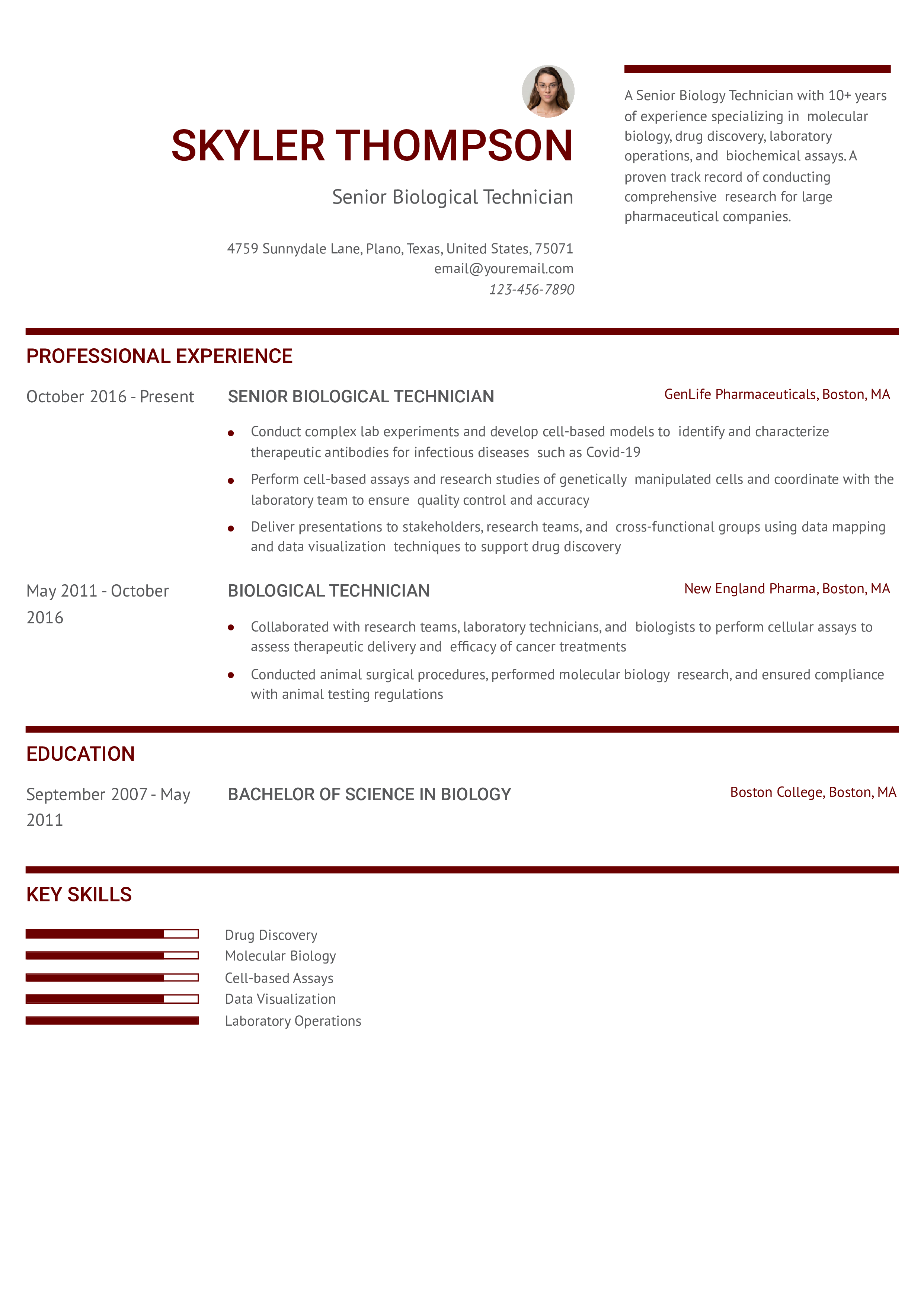 Senior-level Resume