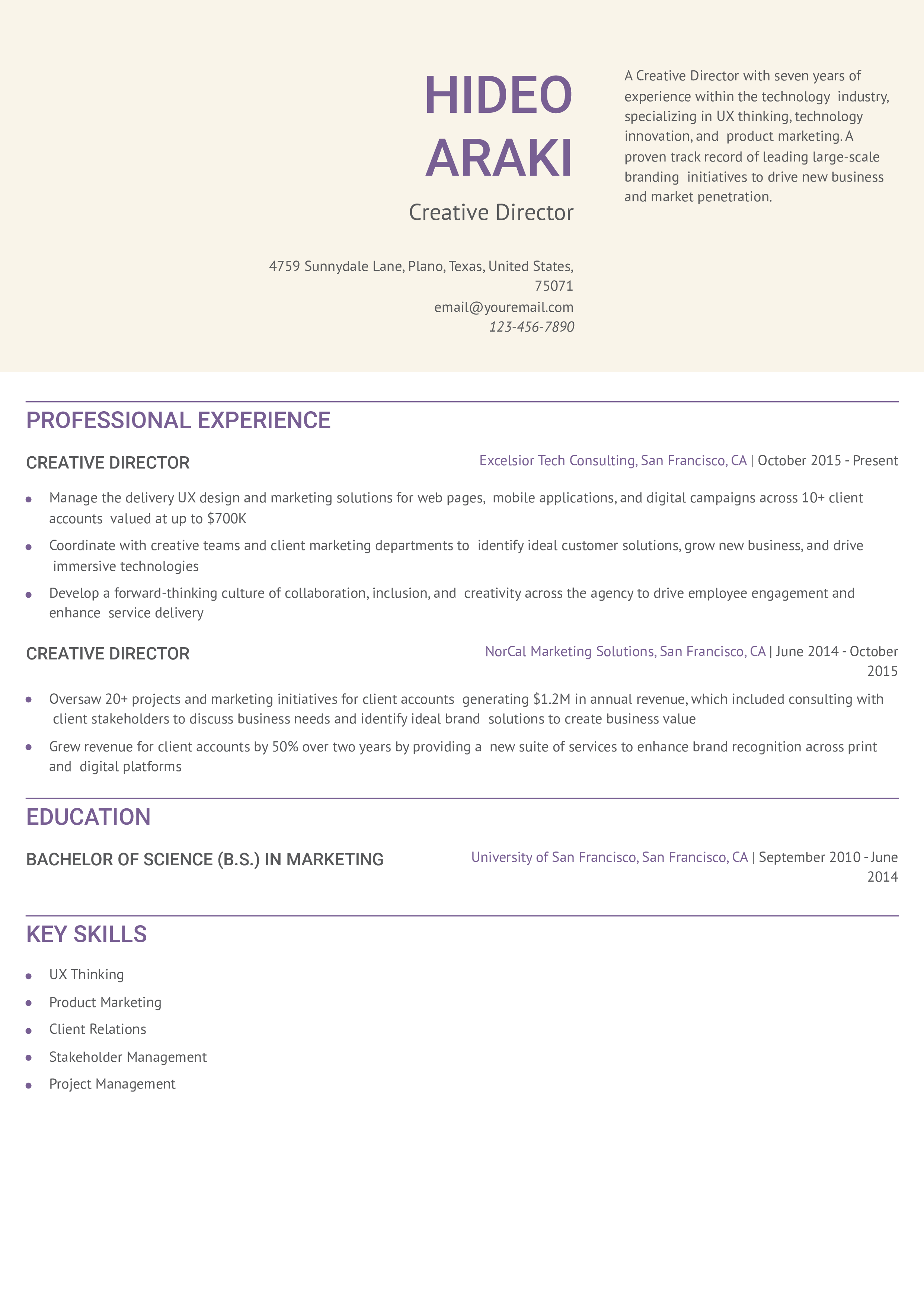 Creative Director Resume Example
