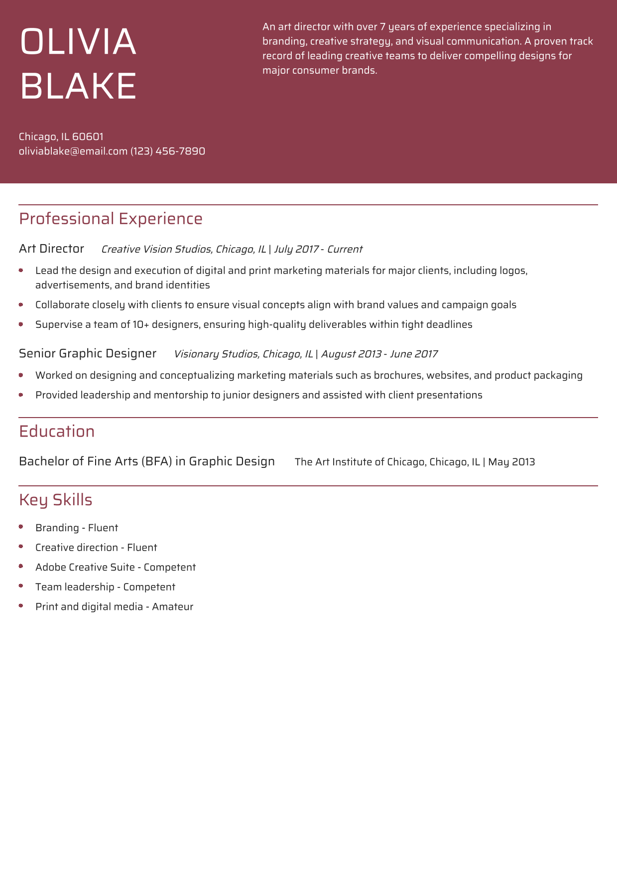 Art Director Resume Example