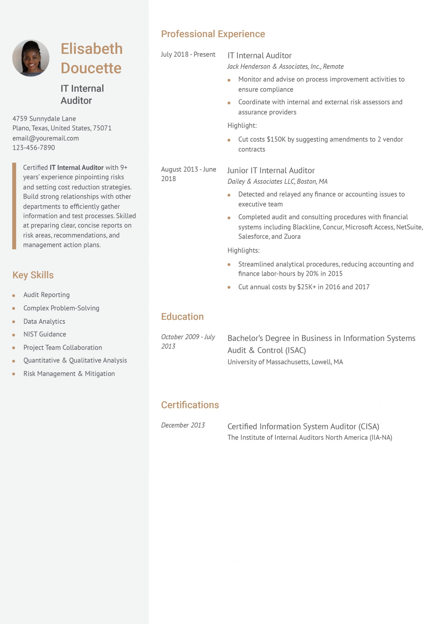 Auditor Resume Examples and Templates for 2025