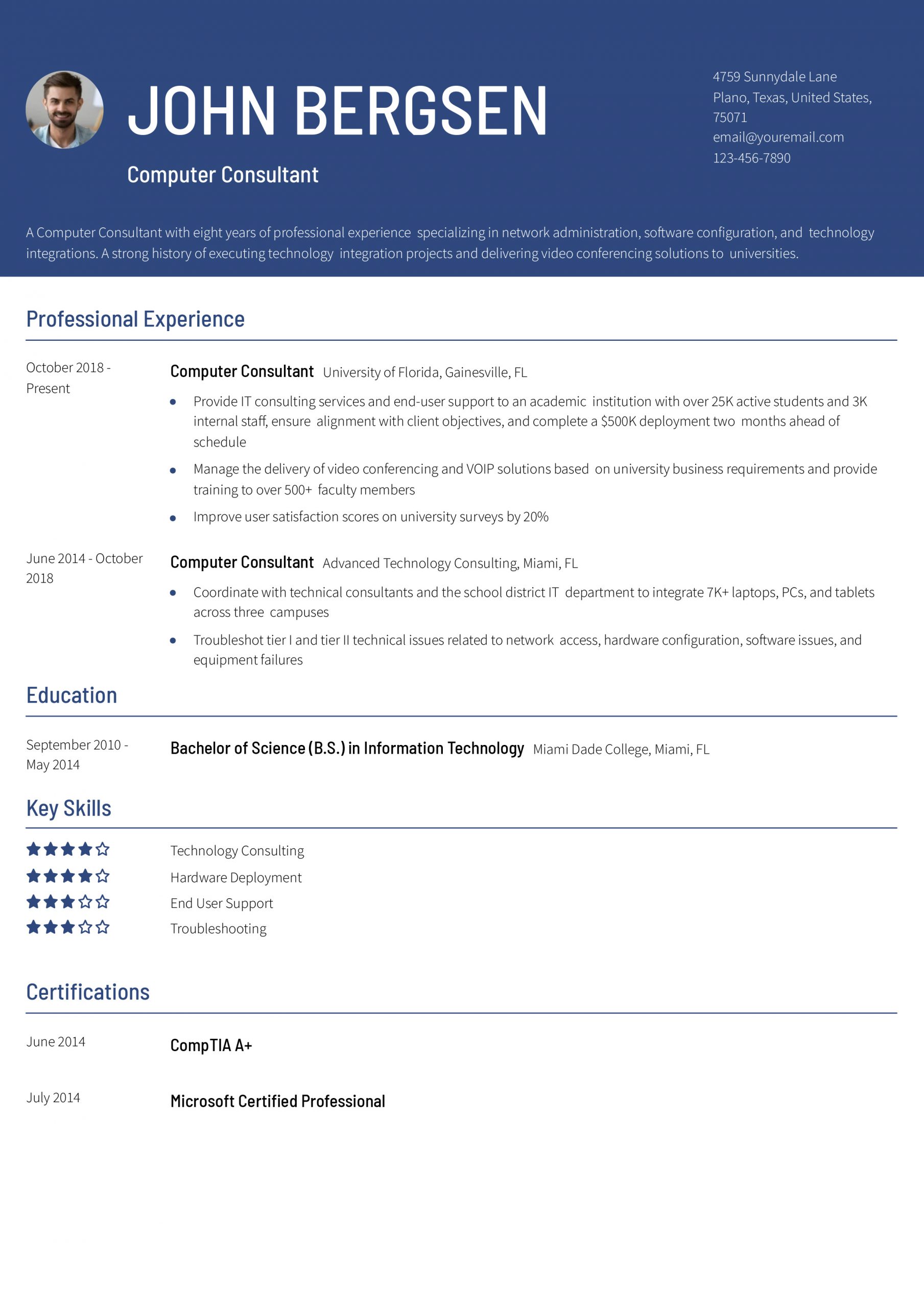 Computer Consultant Resume Example