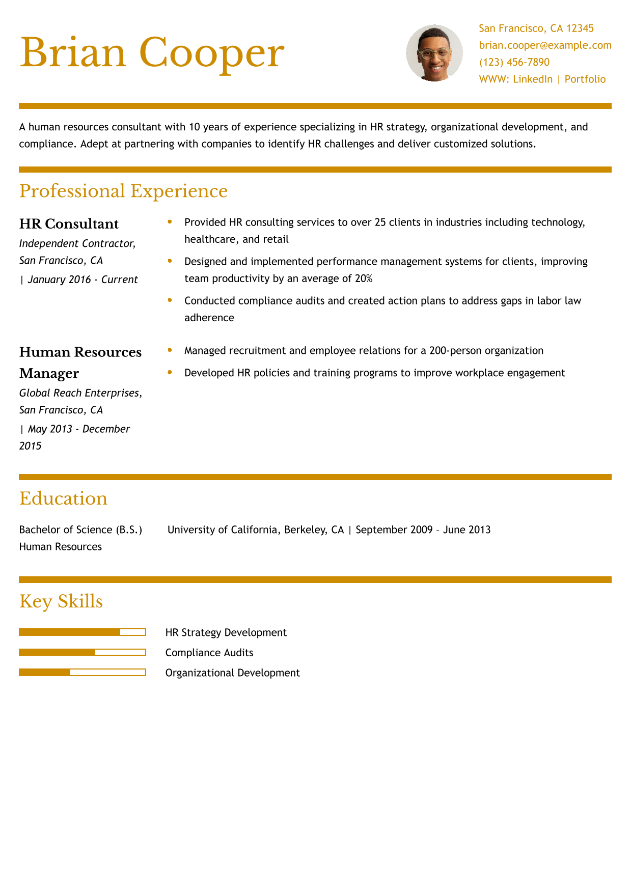 Human Resources Consultant Resume Example