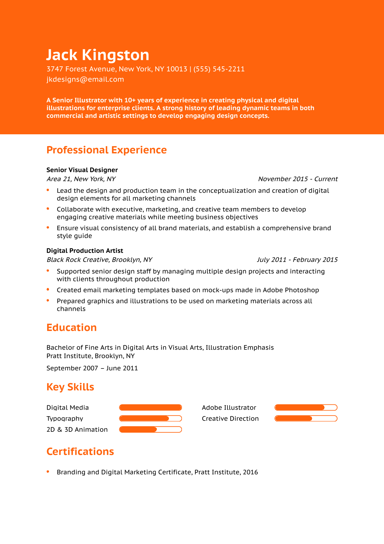 Senior Illustrator Resume Example