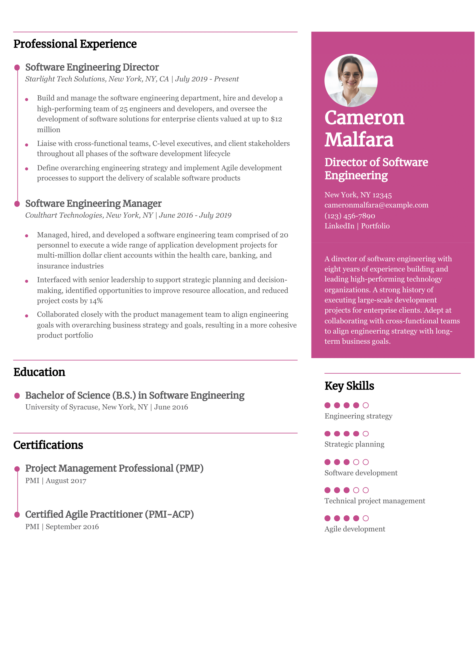 Software Engineer Resume Examples - Director Of Software Engineering Resume Example Banner Image