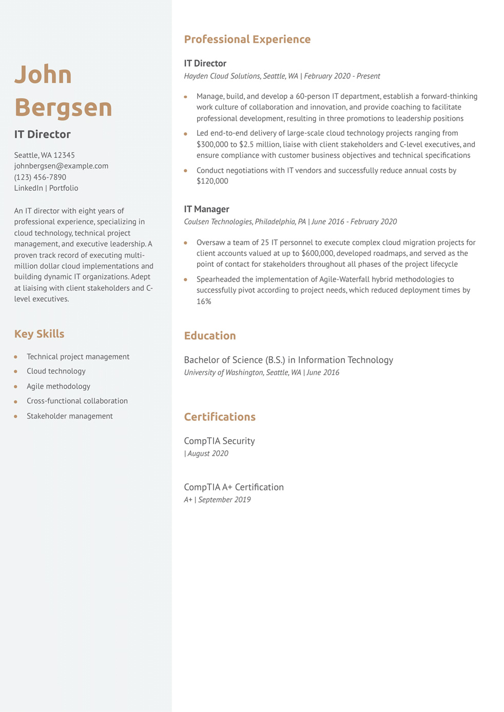 IT Director Resume Example