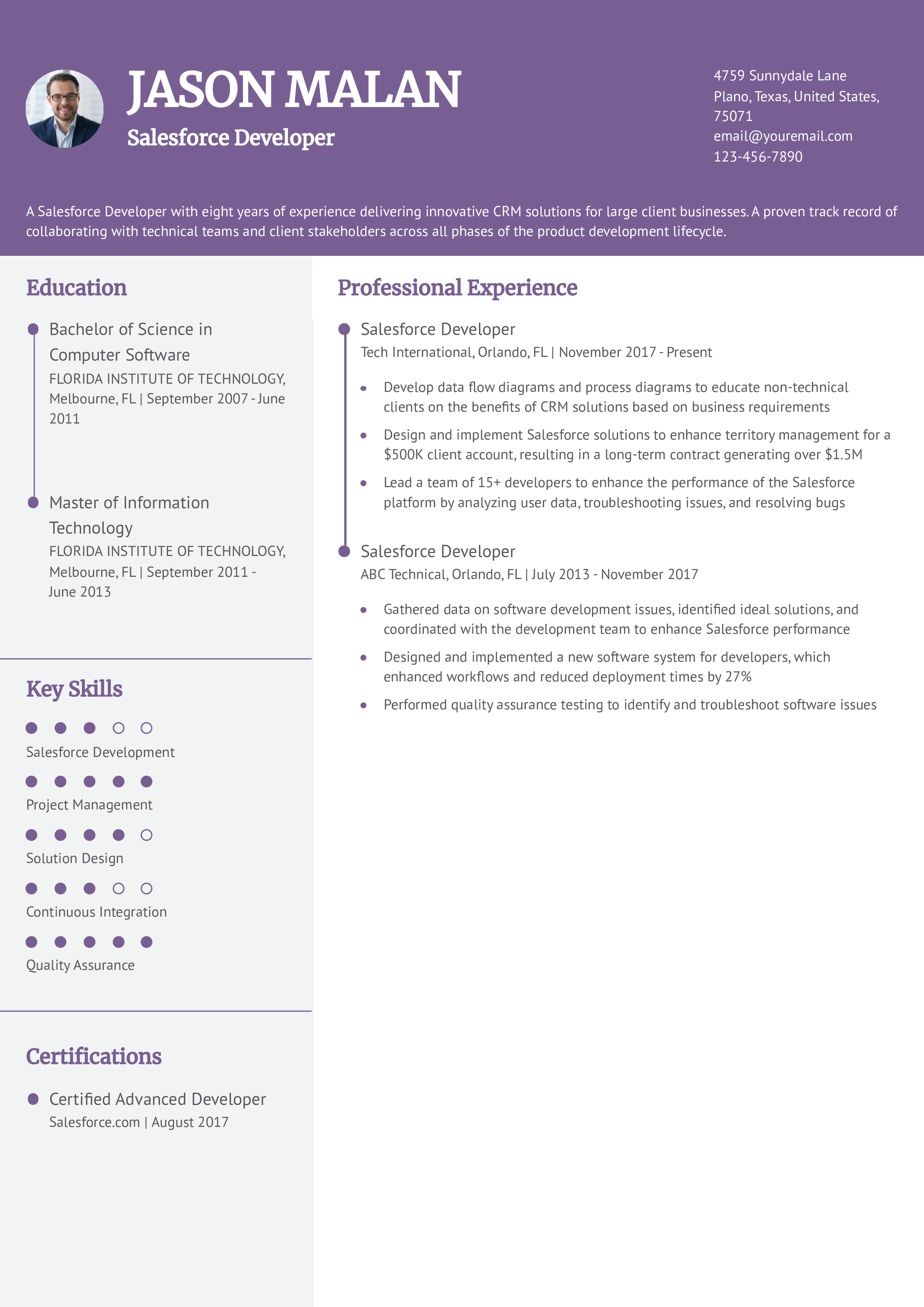 Salesforce Developer Resume Example